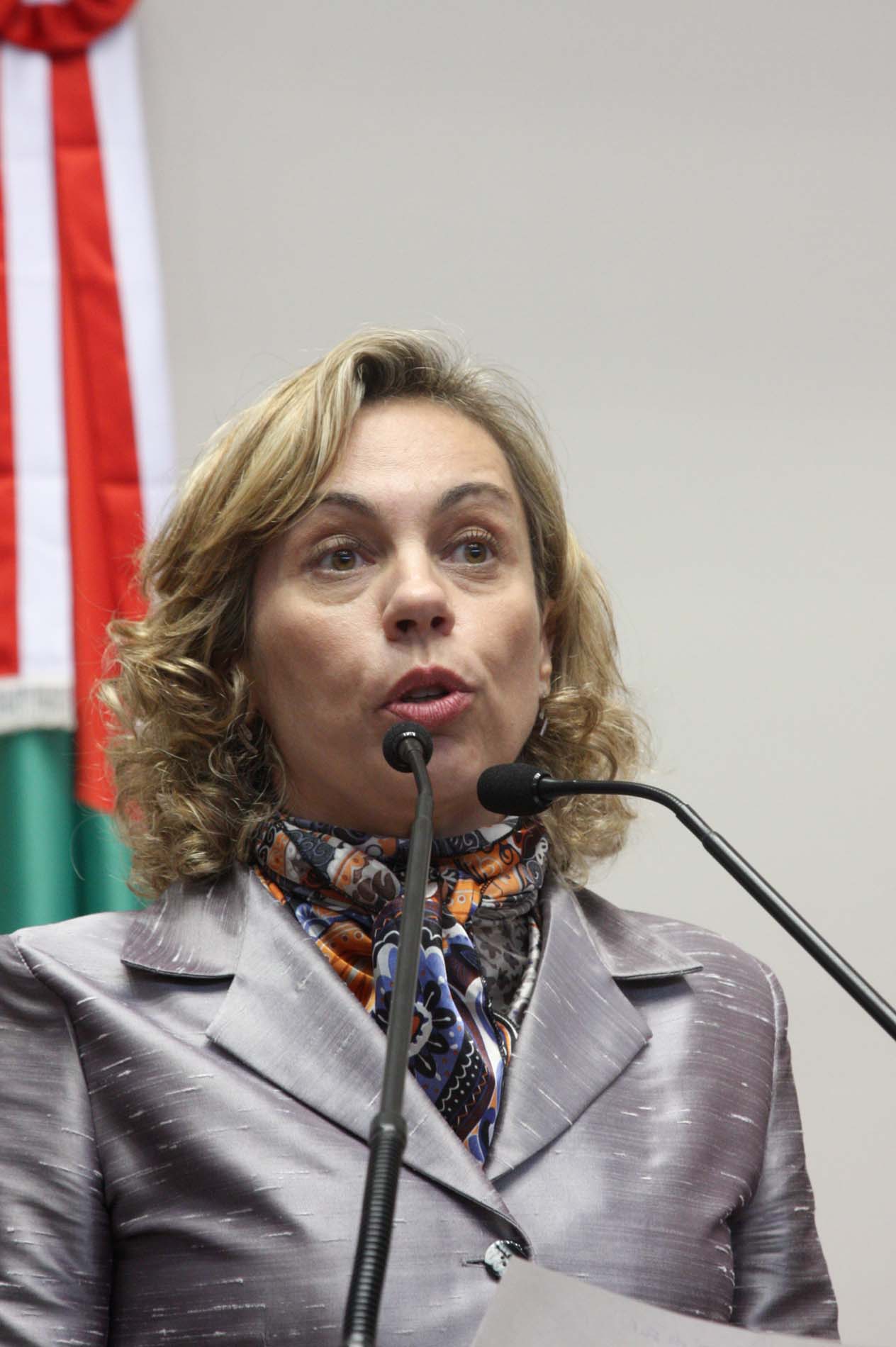 Deputada Ana Paula Lima (PT)