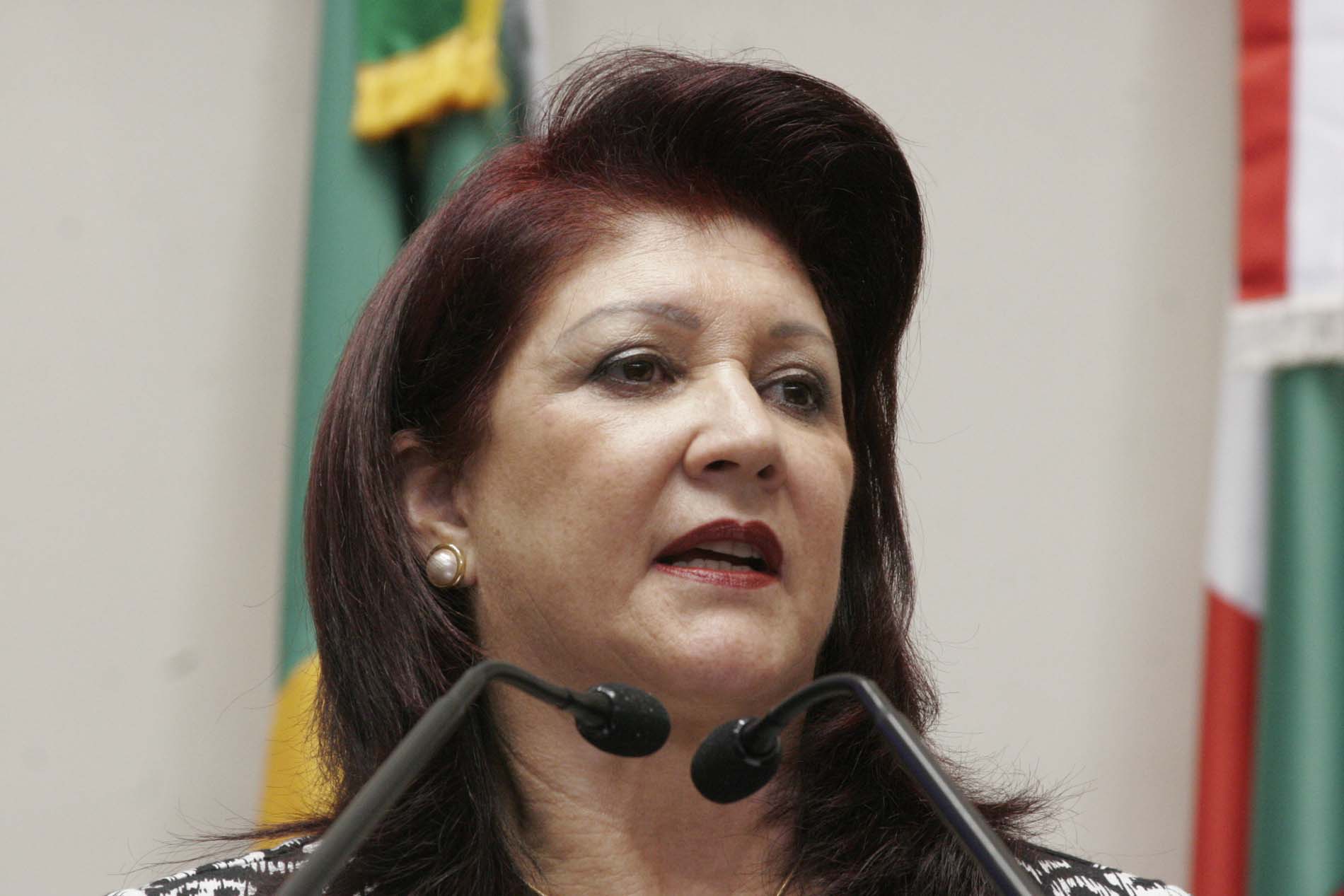 Deputada Professora Odete de Jesus (PRB)