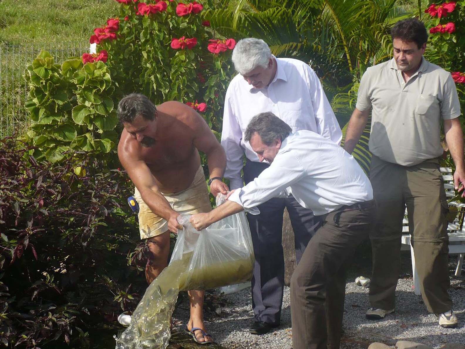 Produção de Tilápias