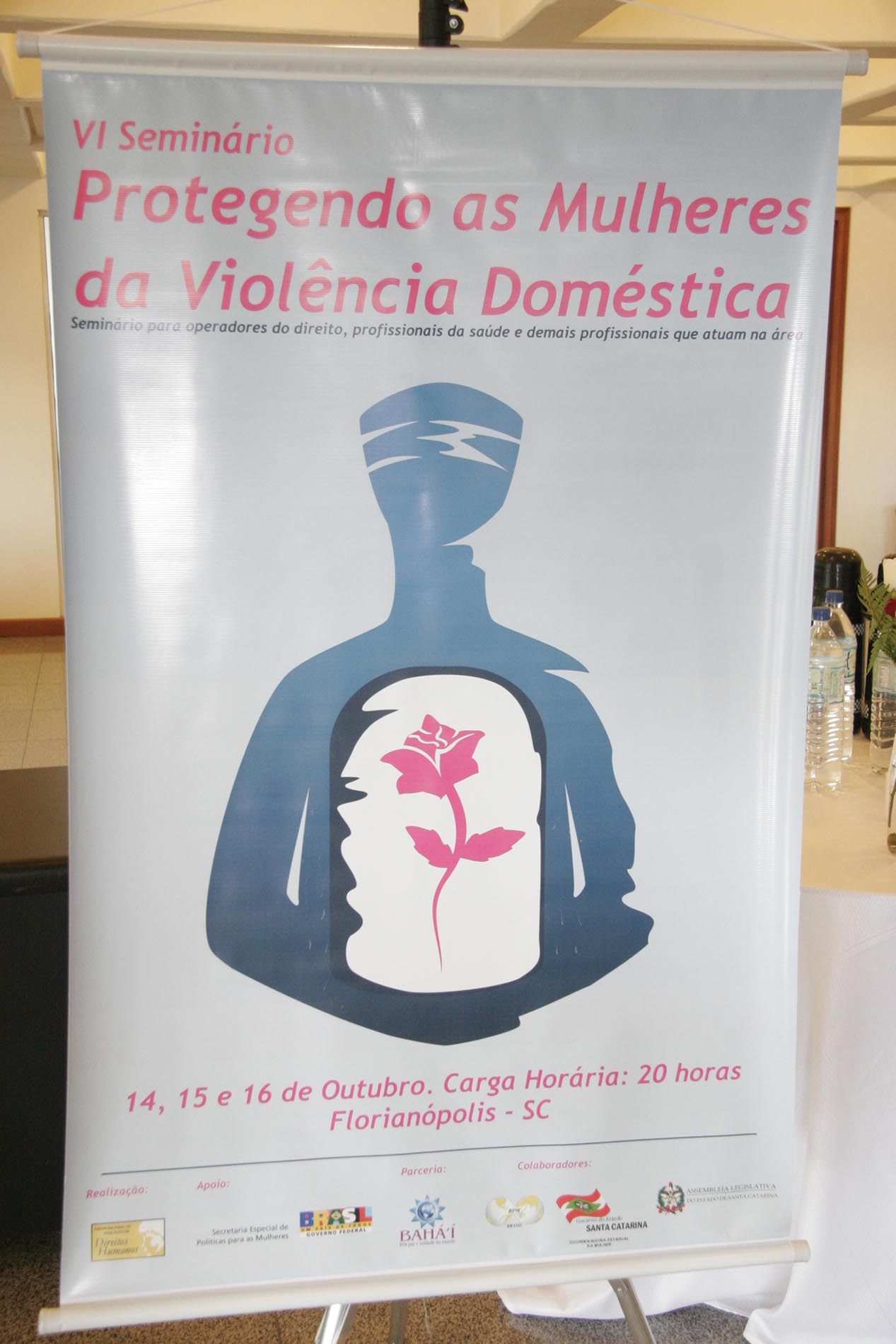 Protegendo as Mulheres da Violência Doméstica