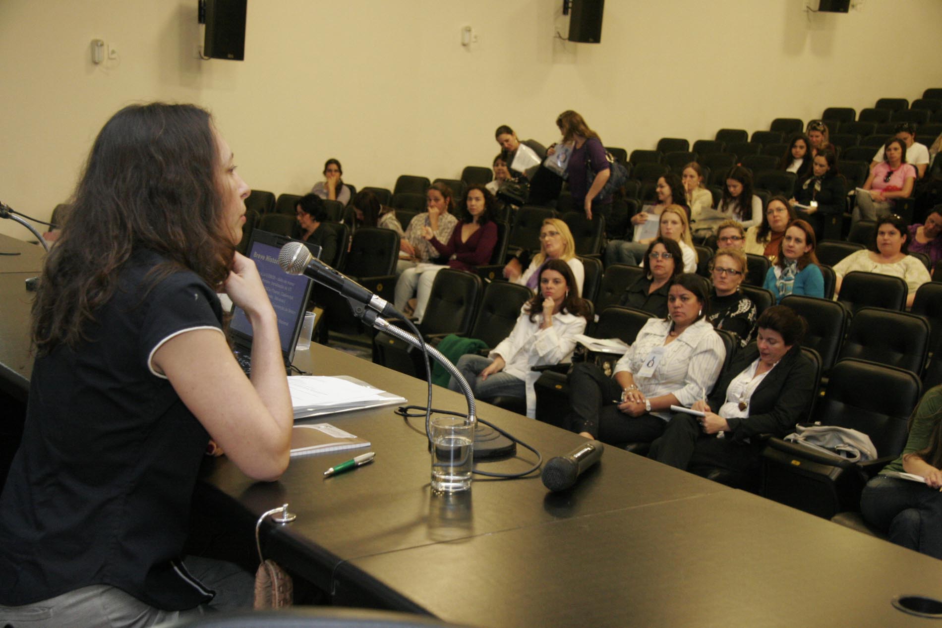 Seminário Protegendo as Mulheres da Violência Doméstica - Carmen Hein de Campos