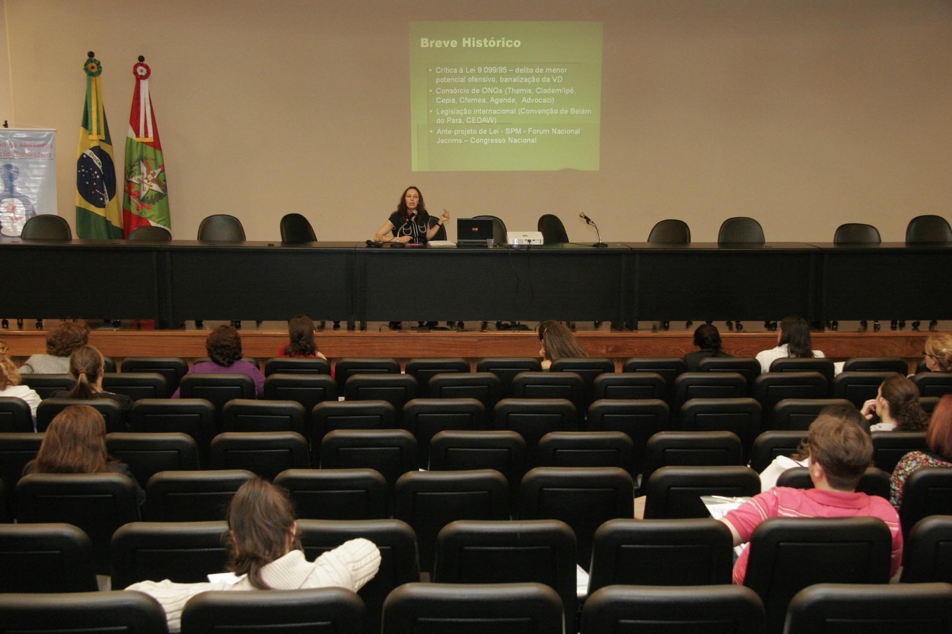 Seminário Protegendo as Mulheres da Violência Doméstica
