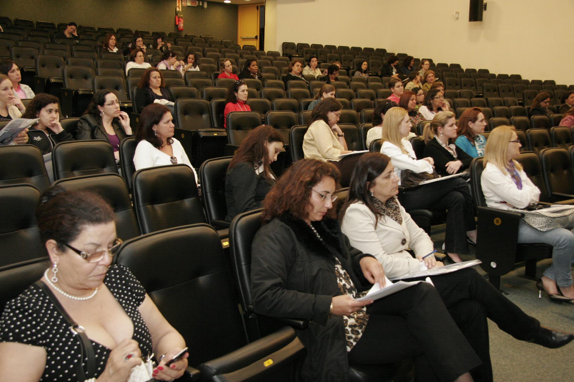 Seminário Protegendo as Mulheres da Violência Doméstica