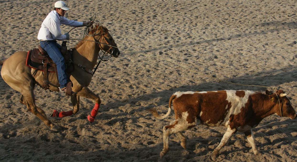 Começa hoje 3ª Edição do Rodeio Country