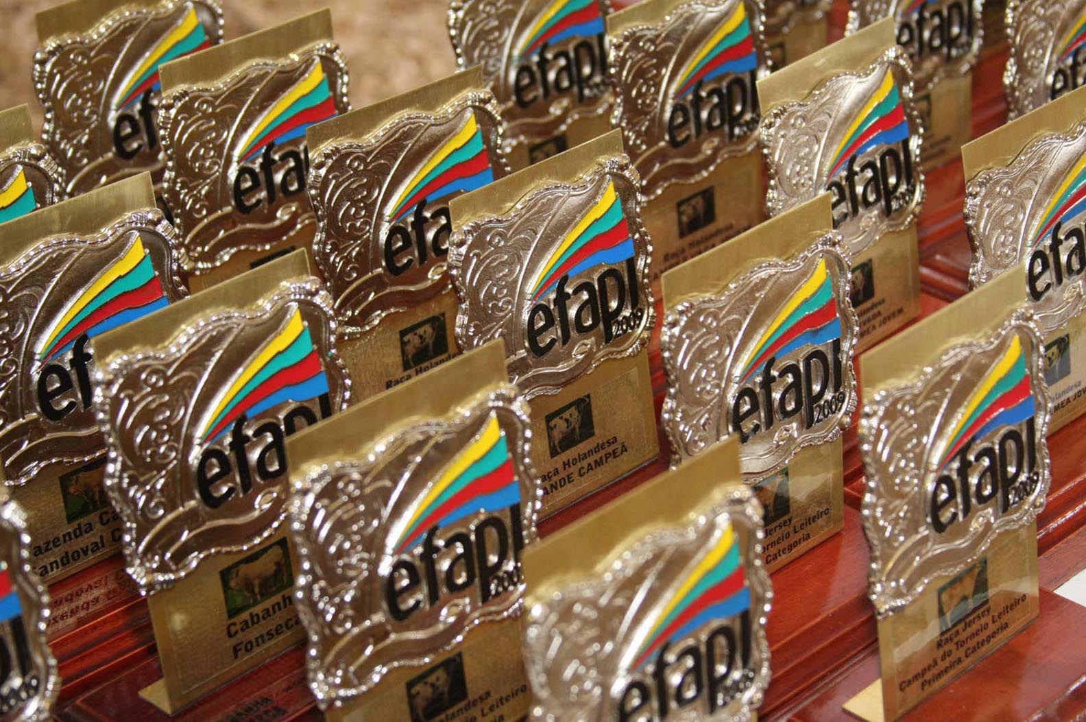 Efapi 2009 - Chapecó