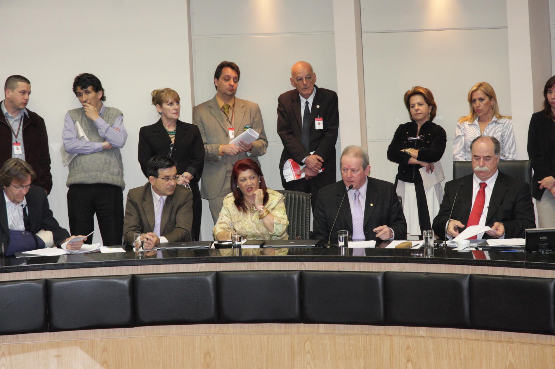 Reunião Conjunta das Comissões