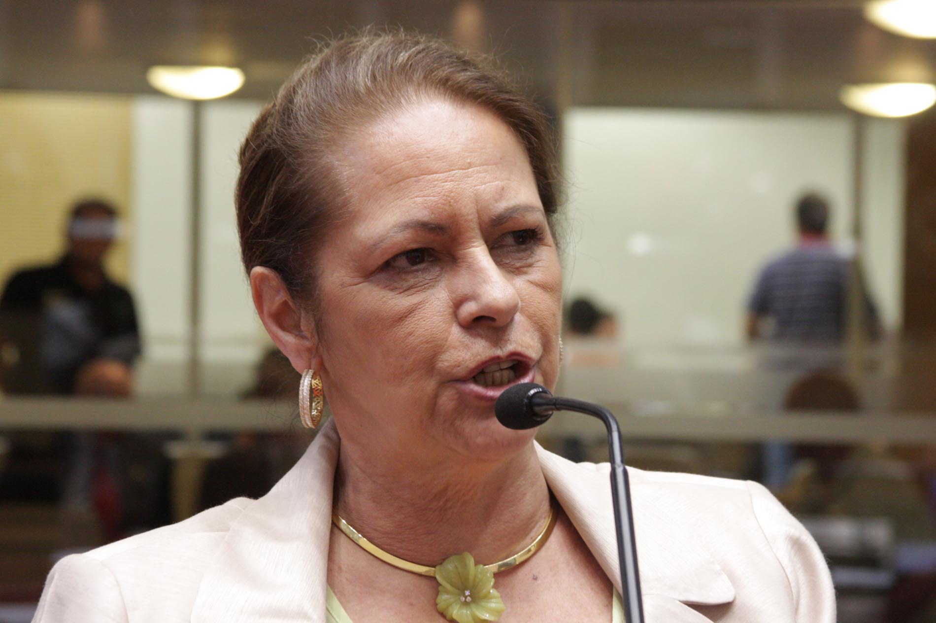 Deputada Ada de Luca (PMDB)