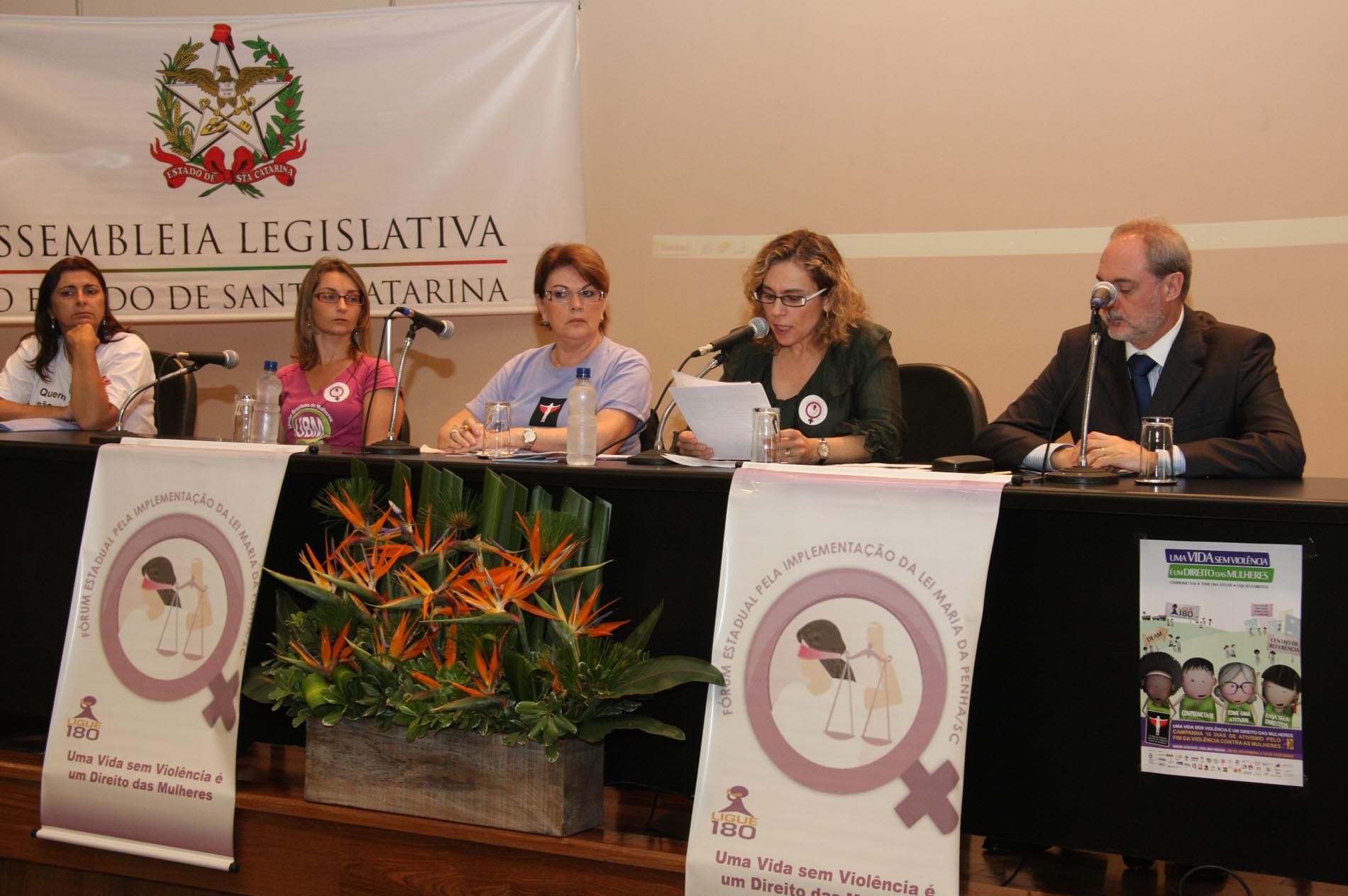 Audiência pública debate a efetividade da Lei Maria da Penha no estado