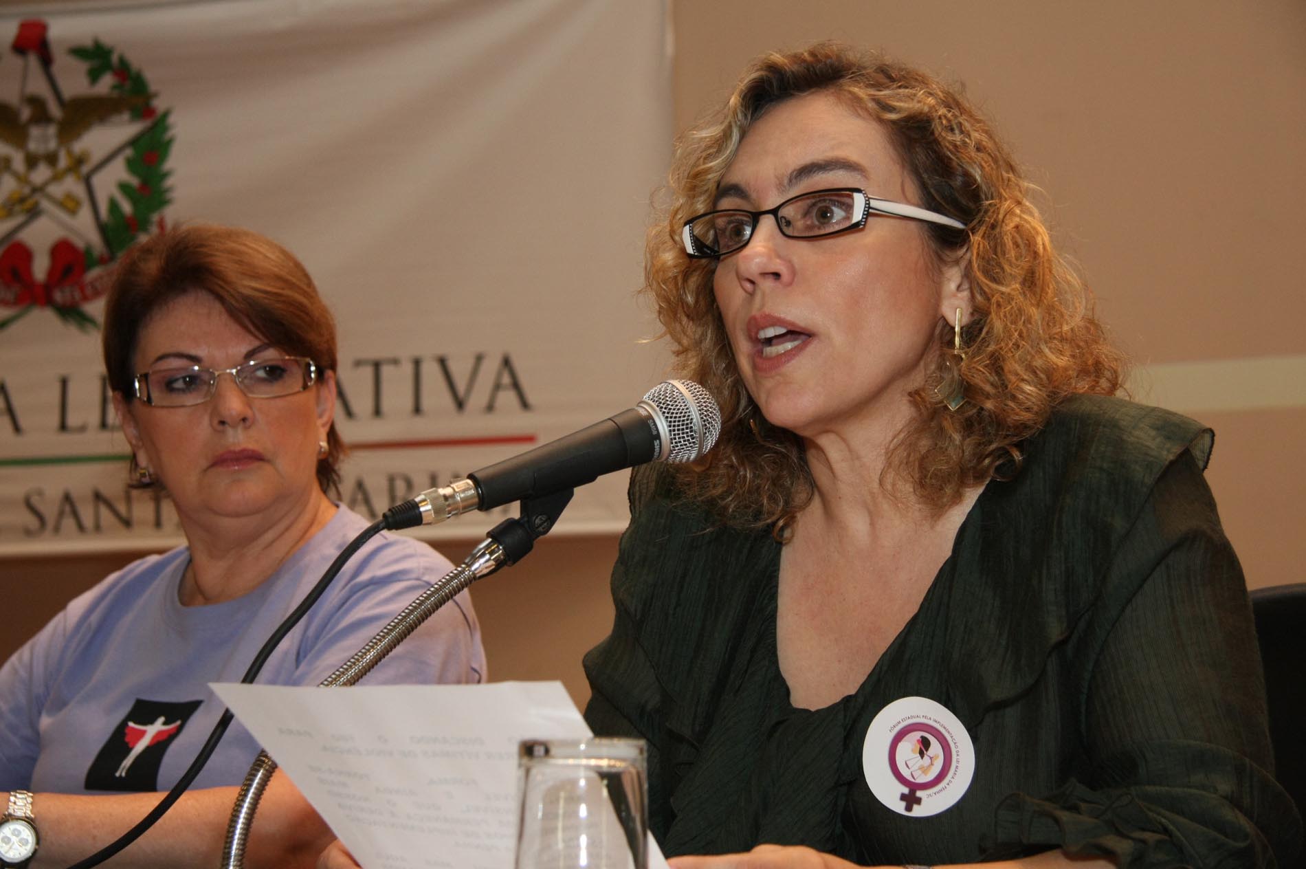 Discussão e análise da efetividade da Lei Maria da Penha