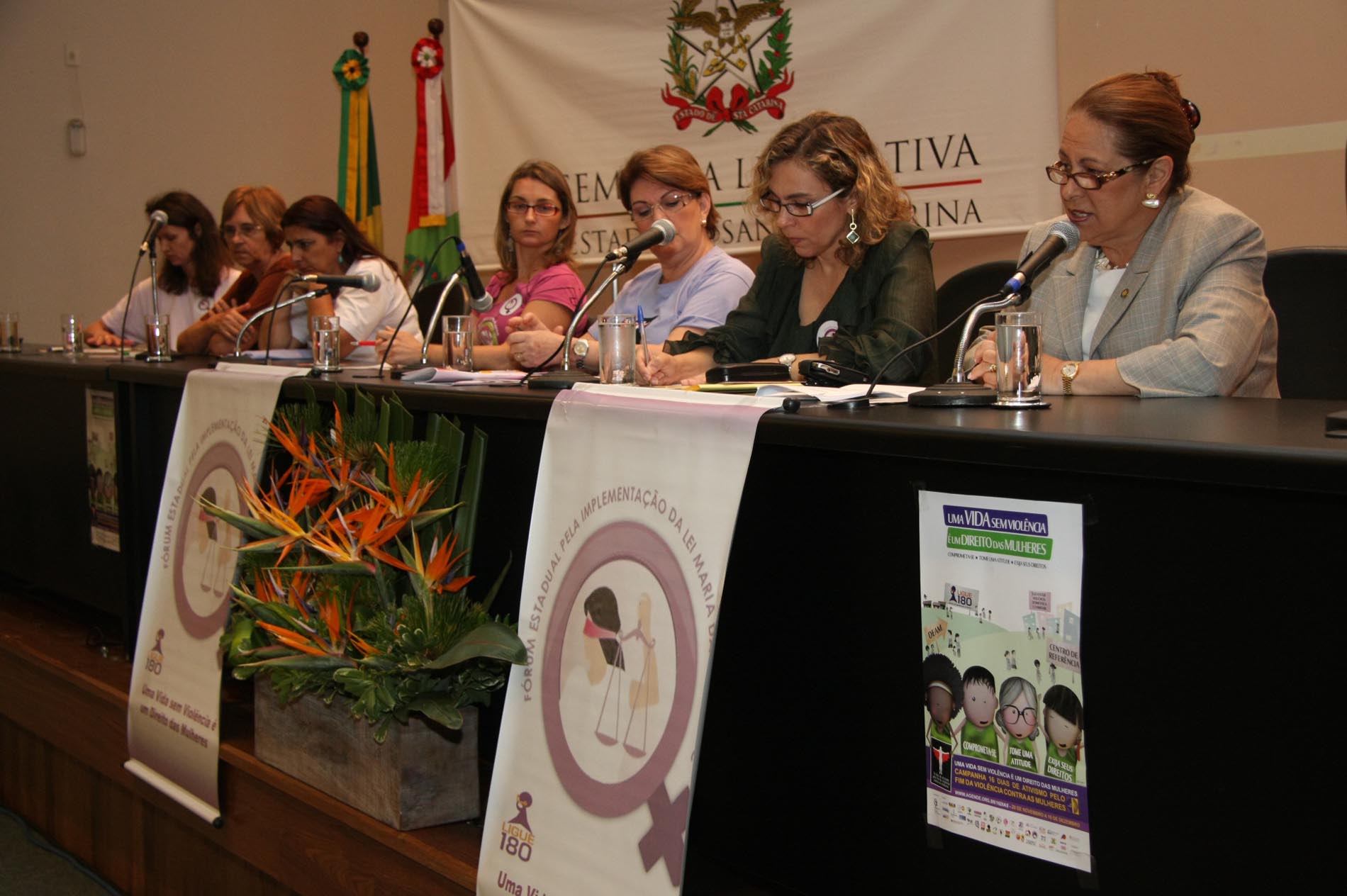 Discussão e análise da efetividade da Lei Maria da Penha