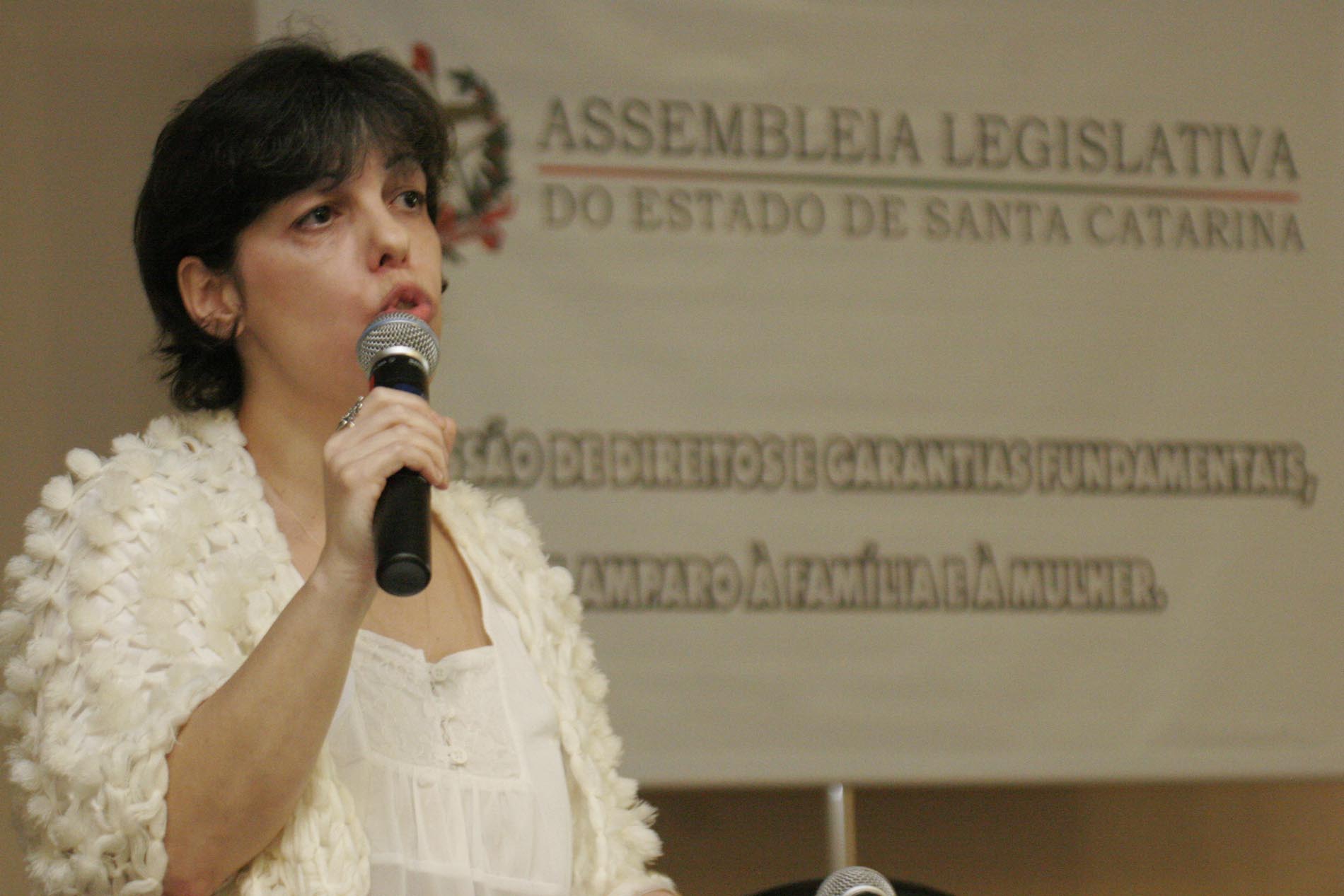 Discussão e análise da efetividade da Lei Maria da Penha