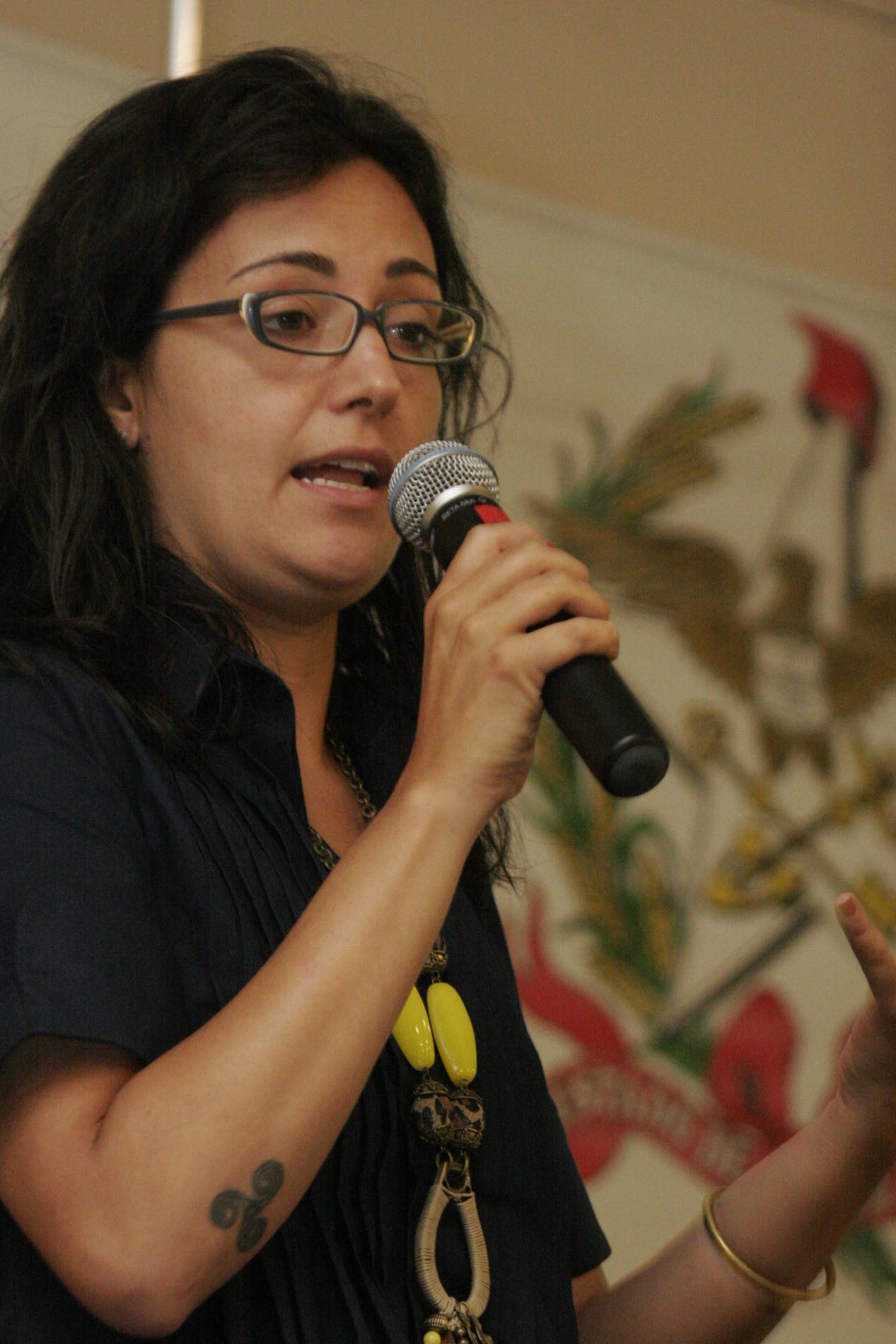Discussão sobre a efetividade da Lei Maria da Penha continua na tarde de hoje