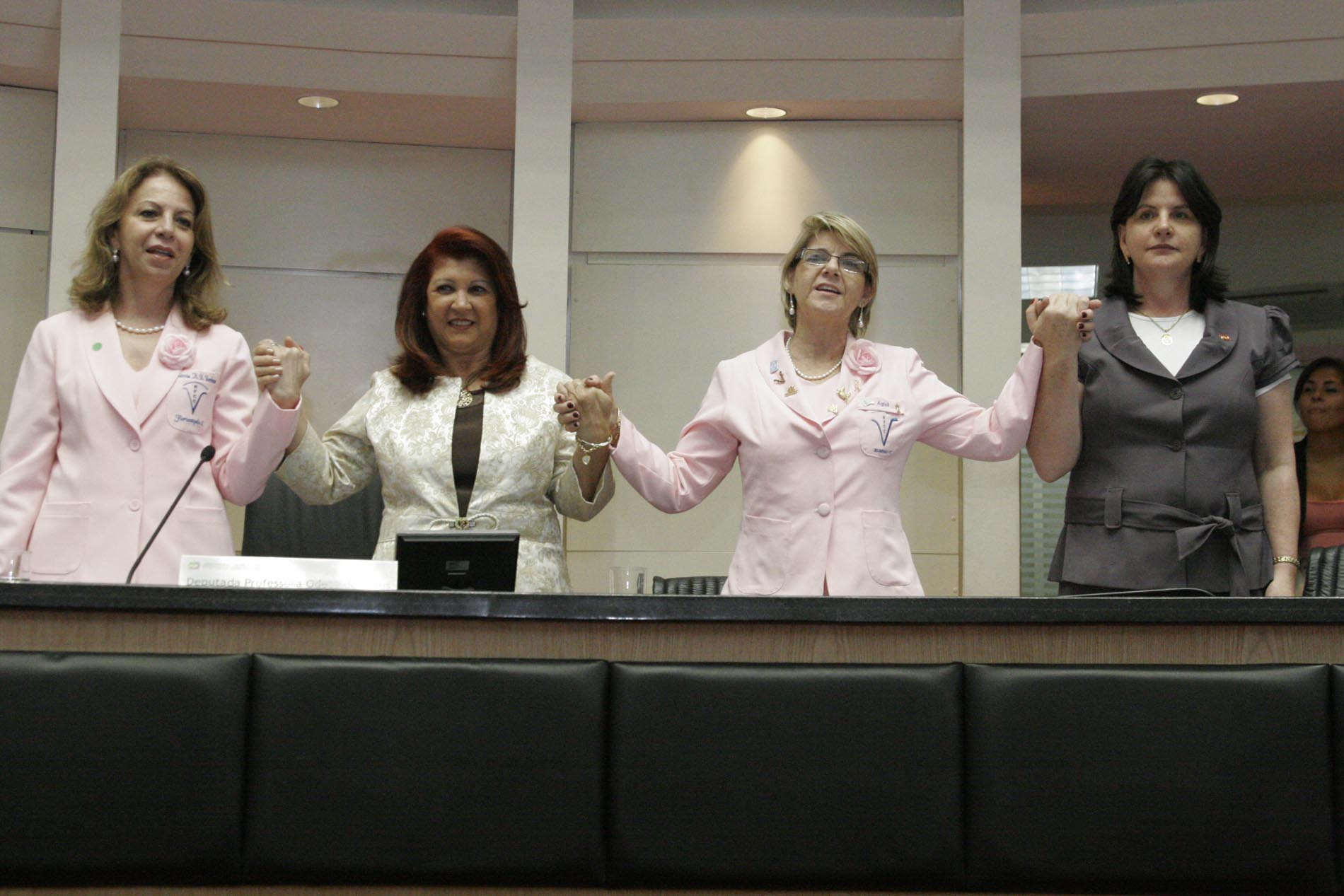 Parlamento homenageia Rede Feminina de Combate ao Câncer de Santa Catarina