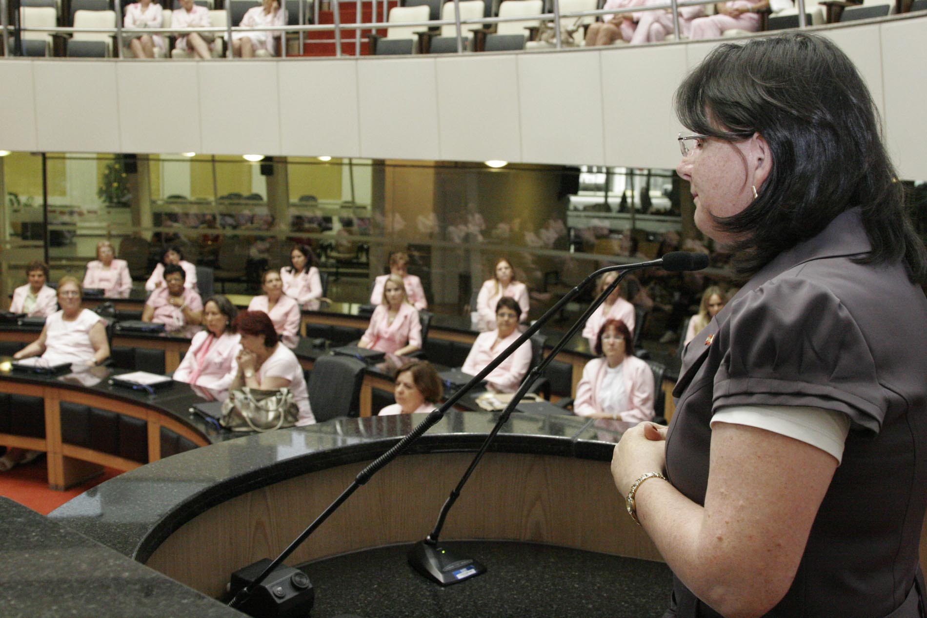 Sessão Especial em comemoração ao Dia Estadual da Rede Feminina de Combate ao Câncer - RFCC no Estado de Santa Catarina