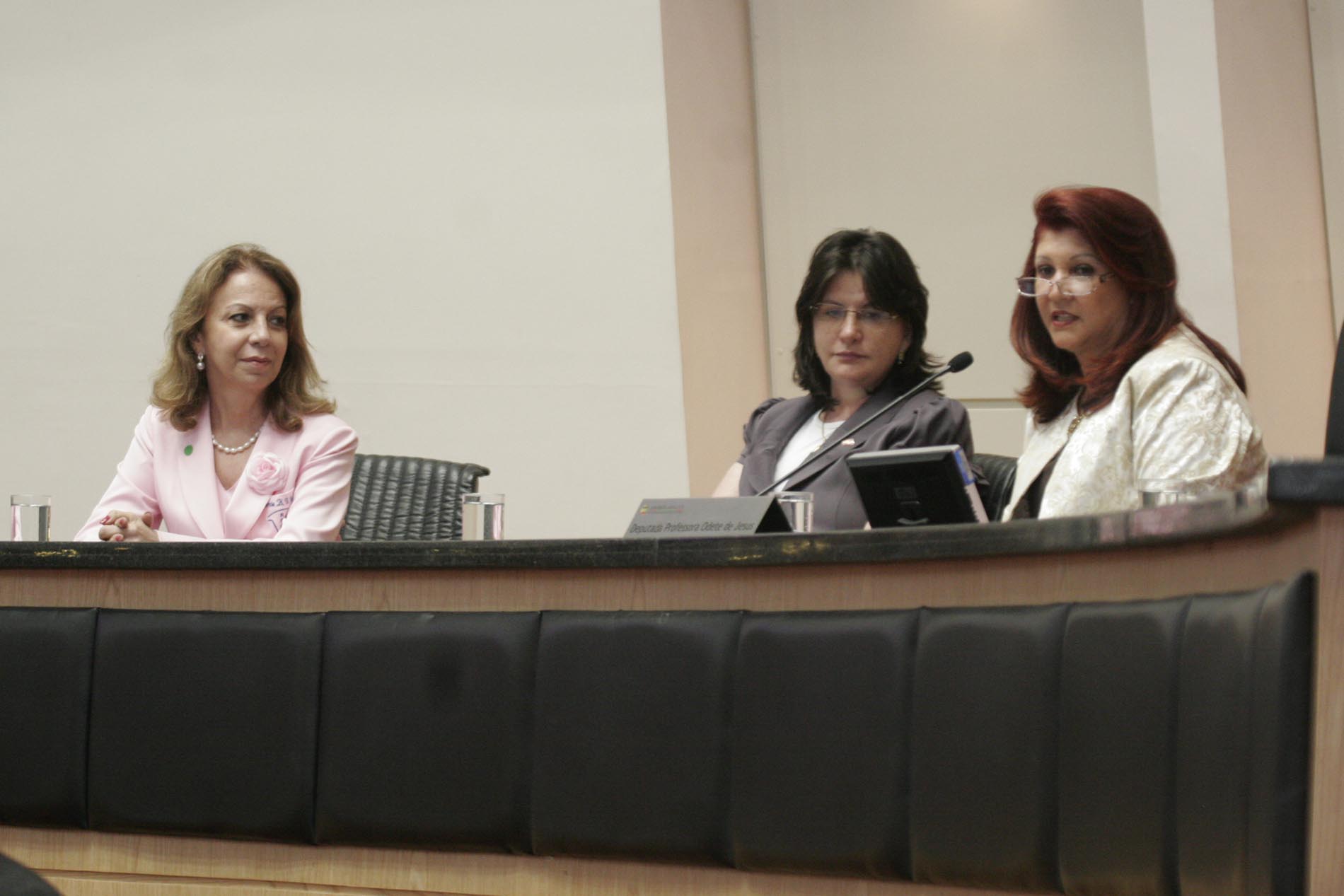 Sessão Especial em comemoração ao Dia Estadual da Rede Feminina de Combate ao Câncer - RFCC no Estado de Santa Catarina