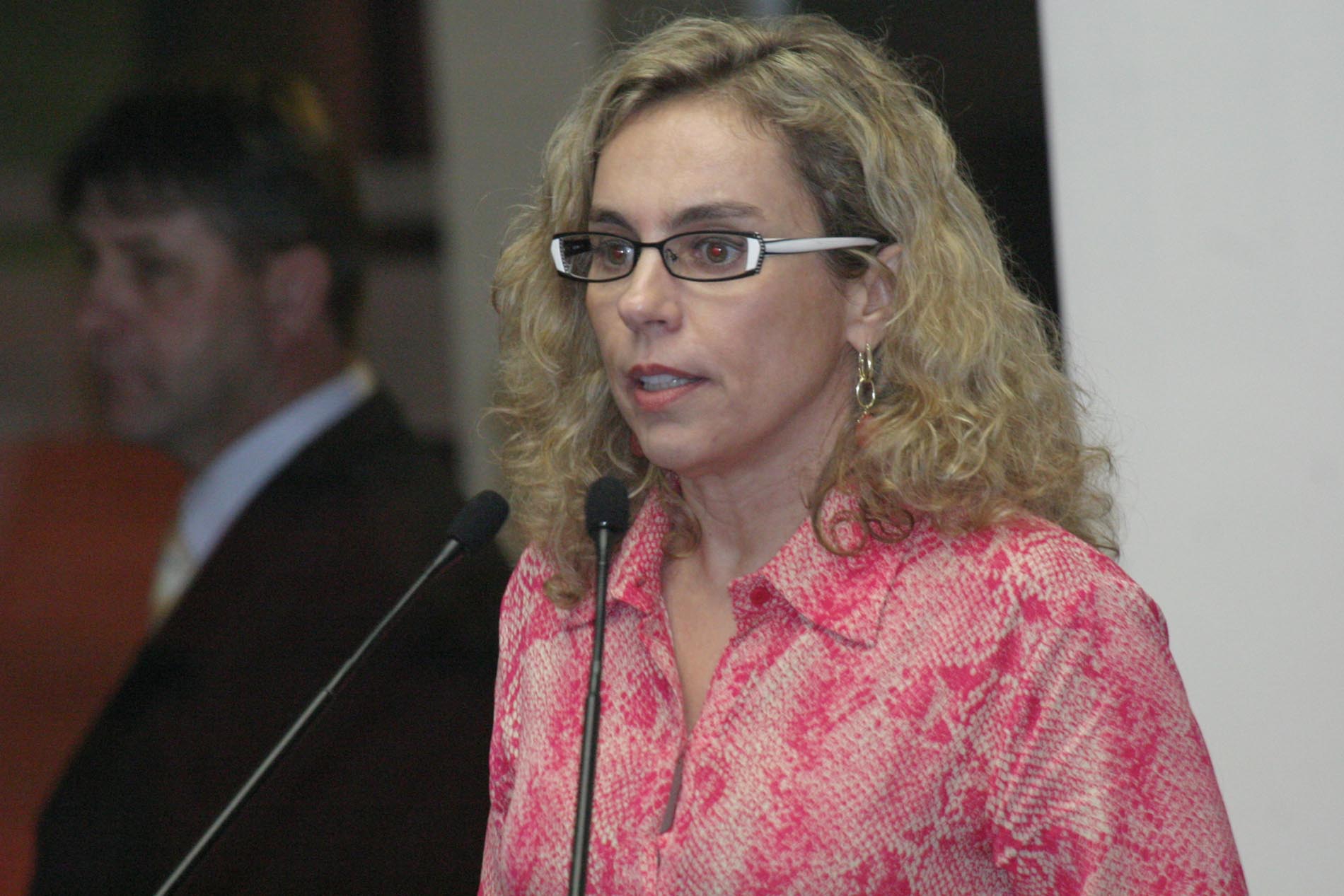 Dia Estadual de Comemoração da Lei Maria da Penha é aprovado