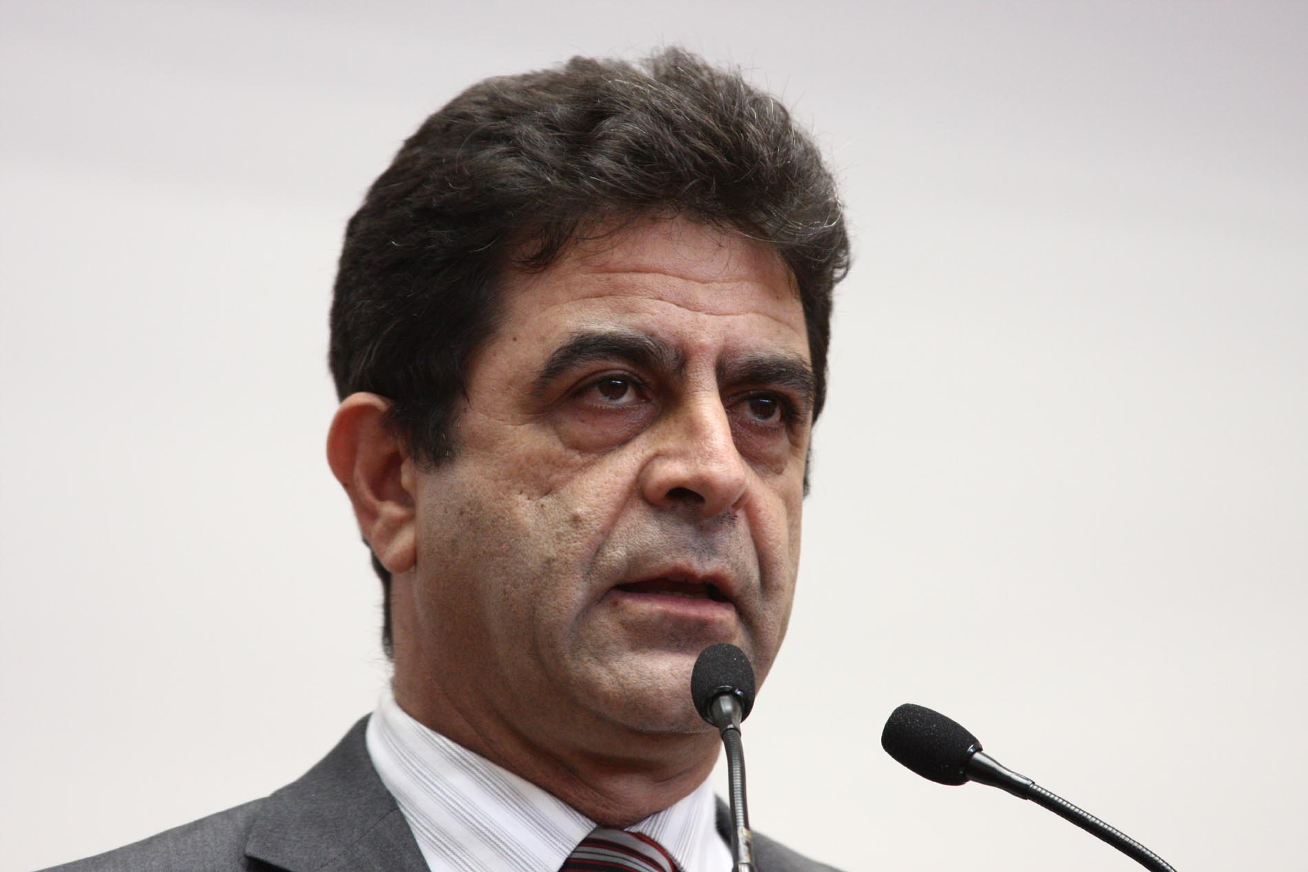 Assembleia Legislativa aprova Programa de Reflorestamento do Pinheiro Brasileiro