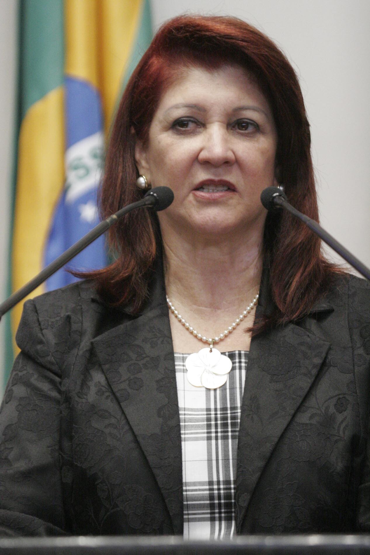 Dos Gabinetes – Comissão de Saúde da Assembleia Legislativa visitará hospitais de Joinville