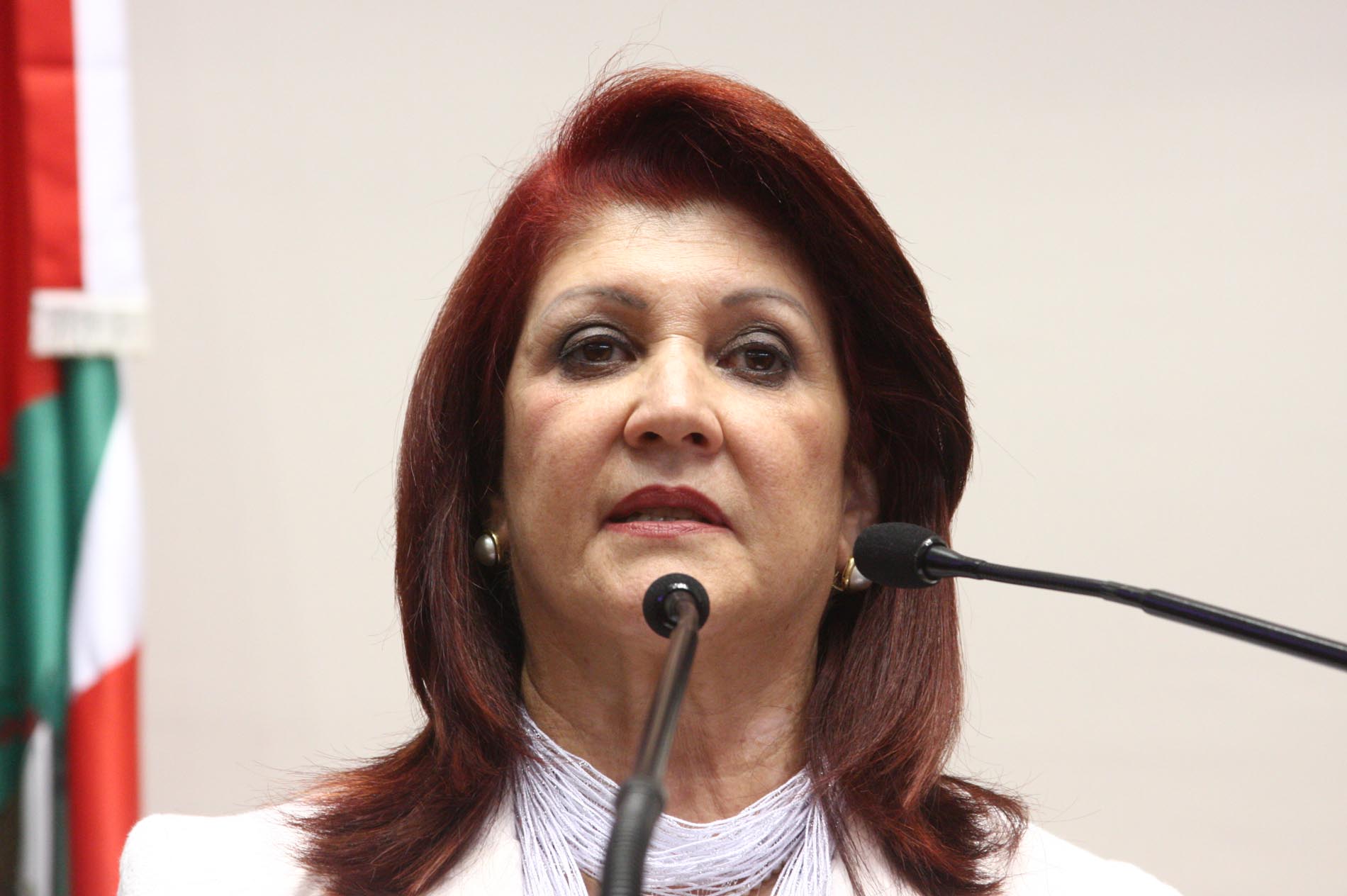 Dos Gabinetes – Evangélicos marcam presença maciça na Capital para “Dia D”