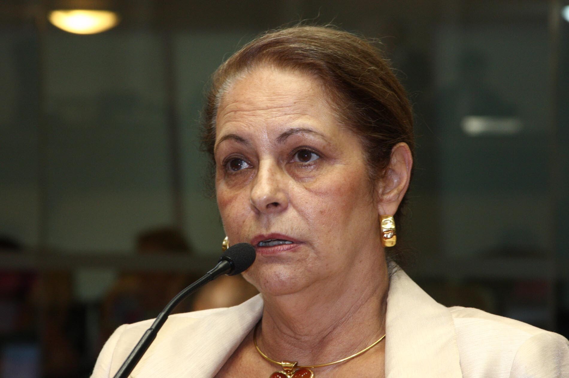 Dos Gabinetes – Lei estabelece Dia Estadual de Mobilização pelo Fim da Violência Contra a Mulher