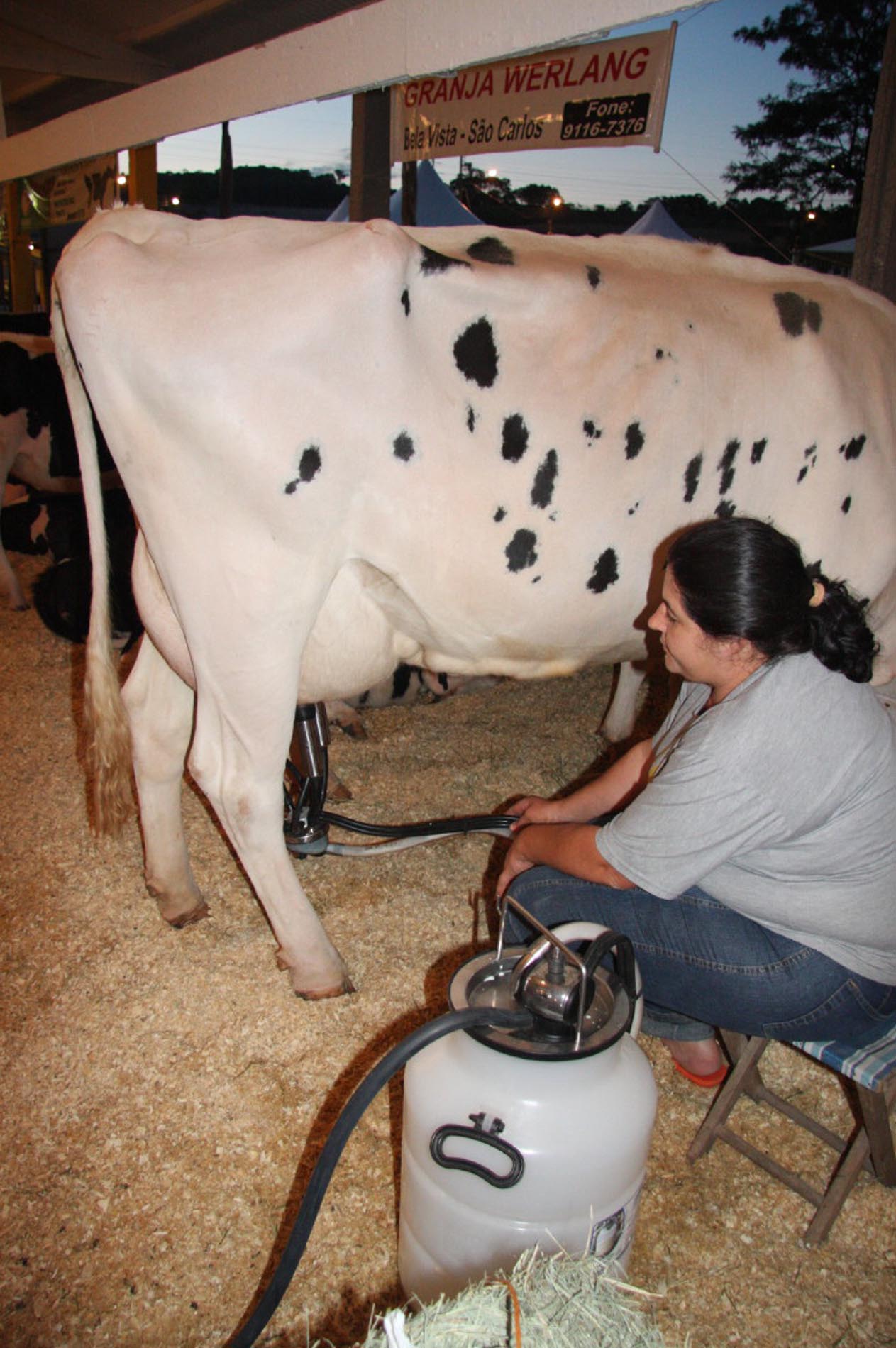 Palestra orienta produtores de leite da região de Xanxerê sobre nutrição animal