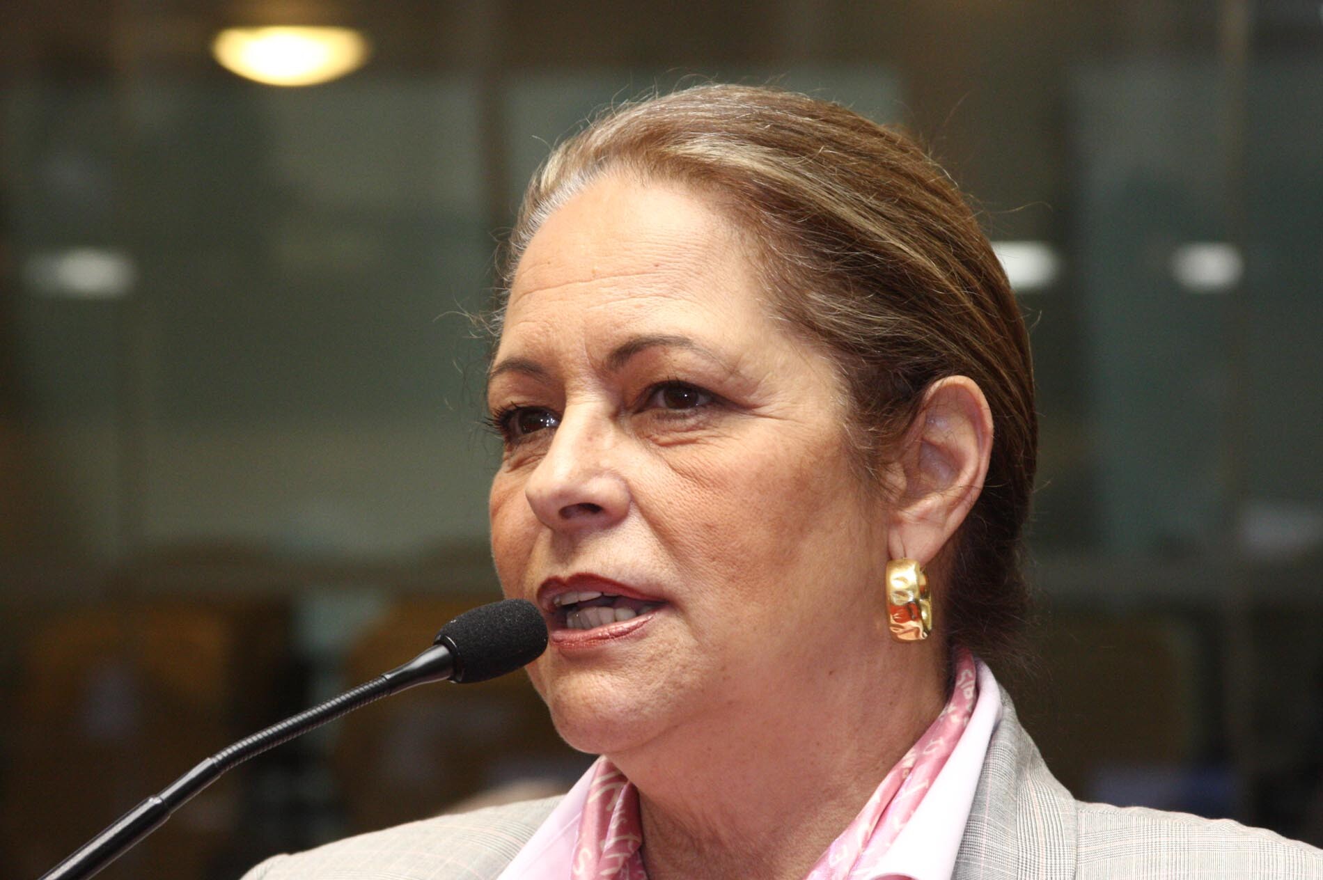 Dos Gabinetes – Deputada Ada homenageia içarenses históricos