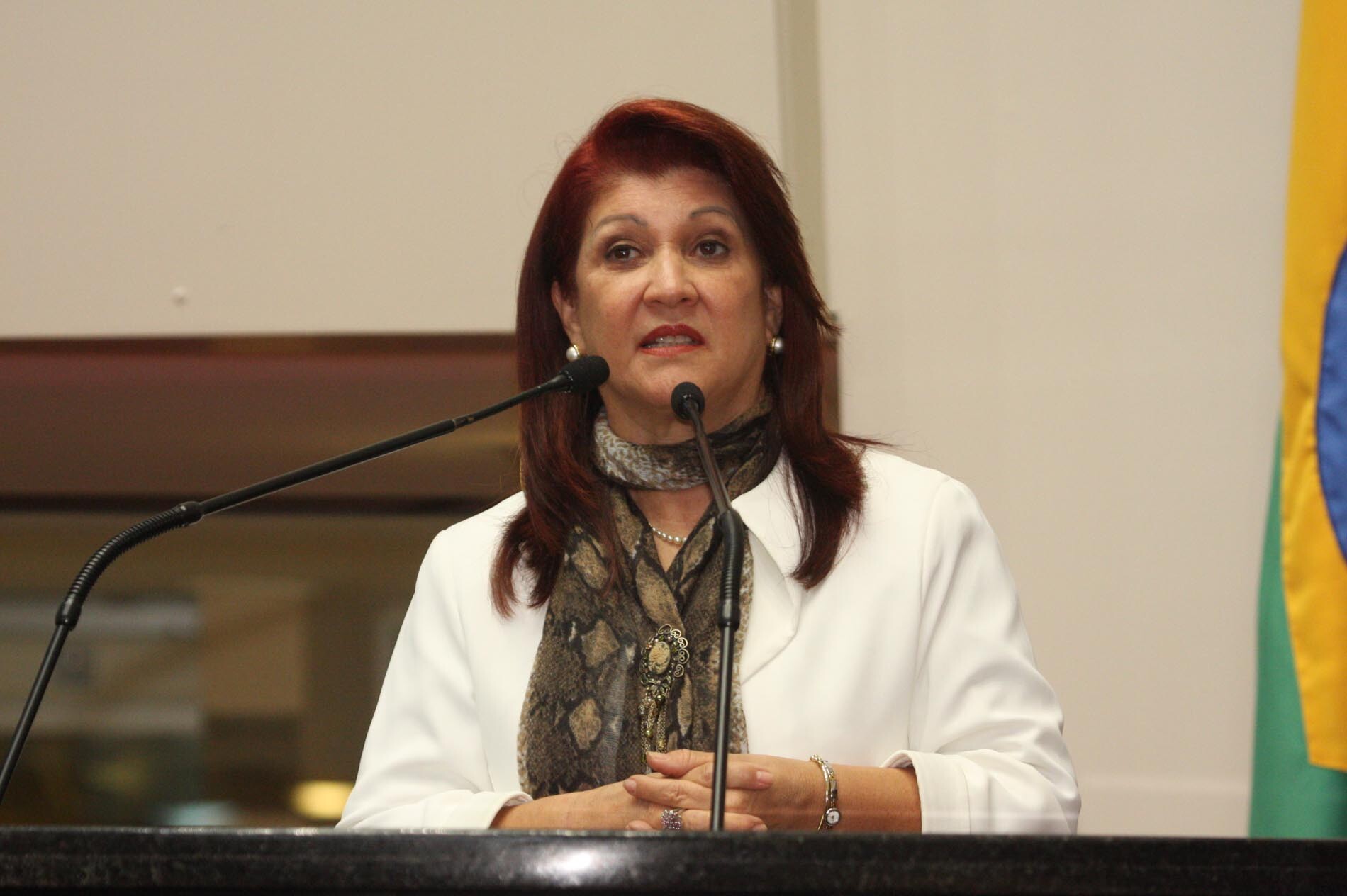 Dos Gabinetes – Deputada cobra instalação de salas de aula em presídios