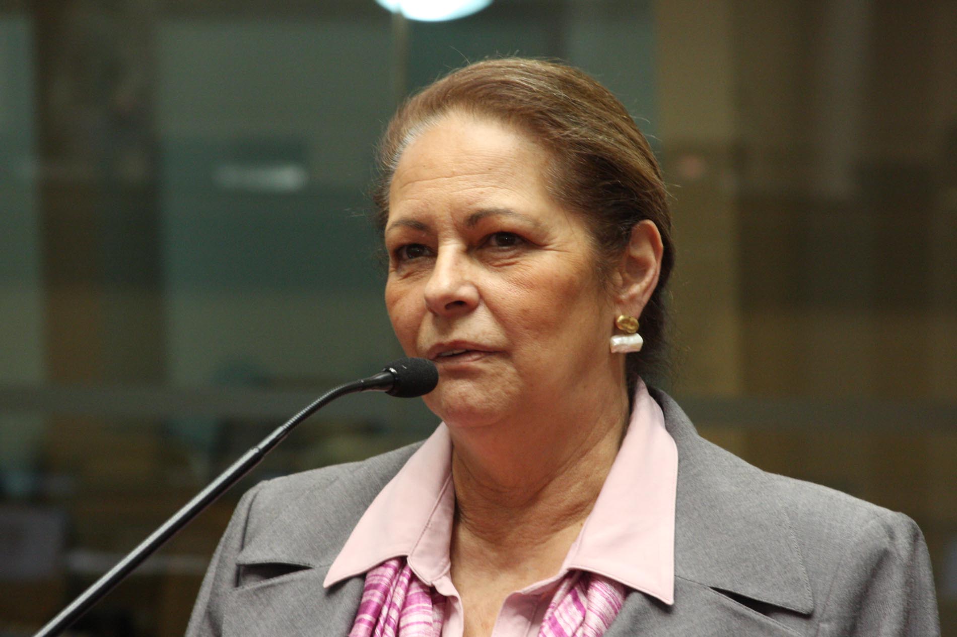 Deputada Ada Faraco De Luca (PMDB)