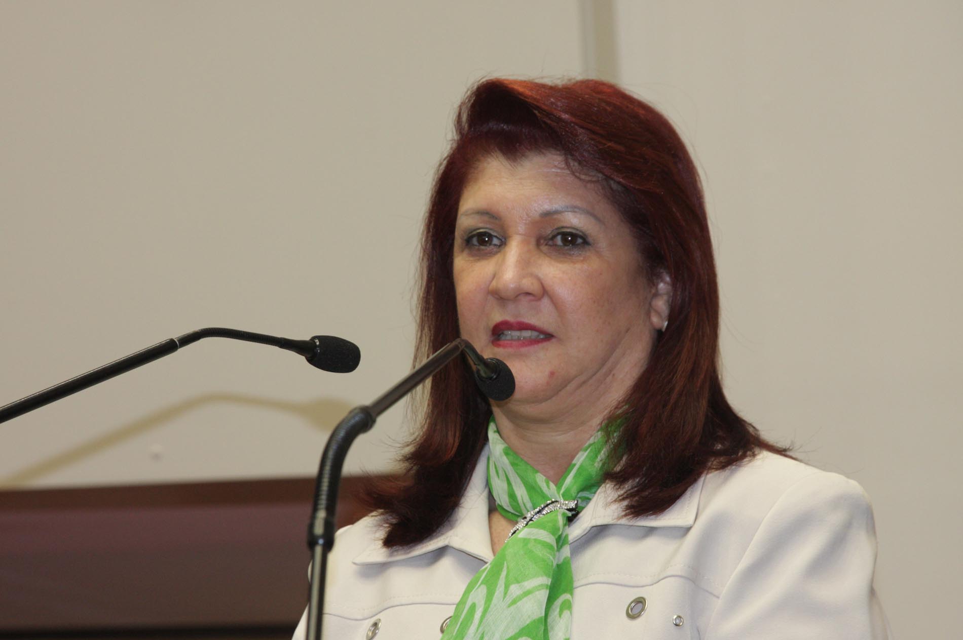 Deputada Professora Odete de Jesus (PRB) – Tarde
