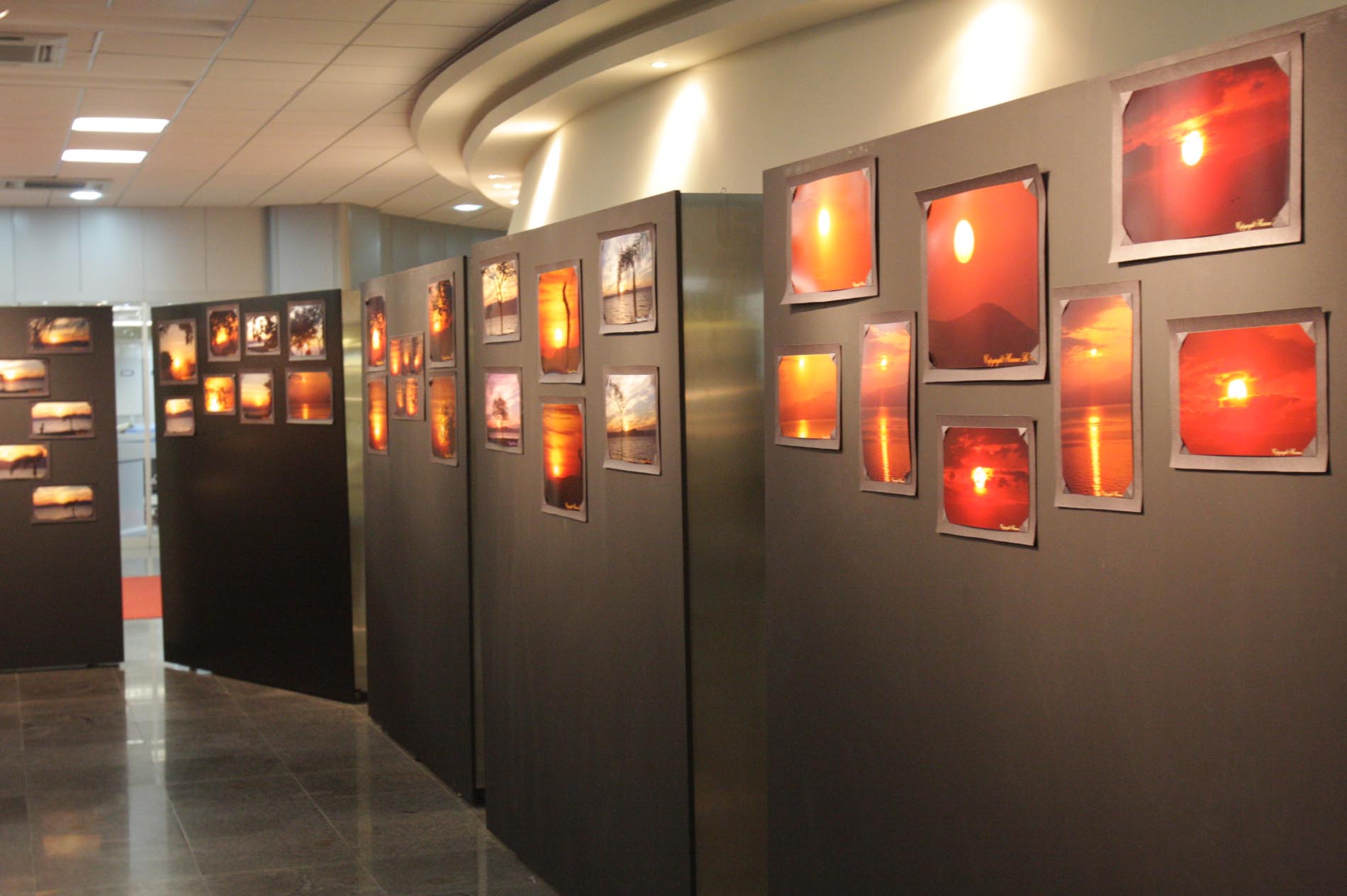 Exposição Fotográfica