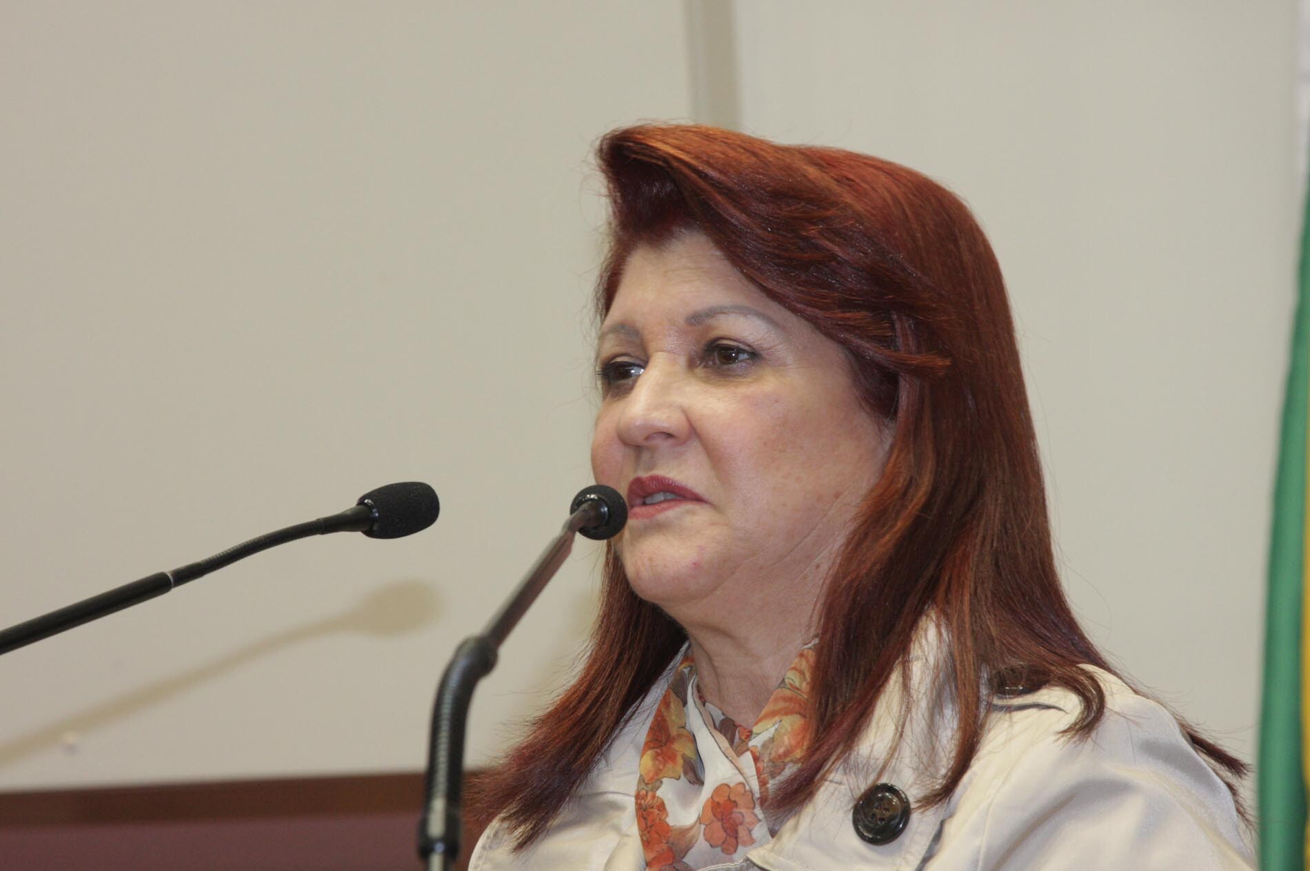 Dos Gabinetes – Deputada critica violência contra mulheres