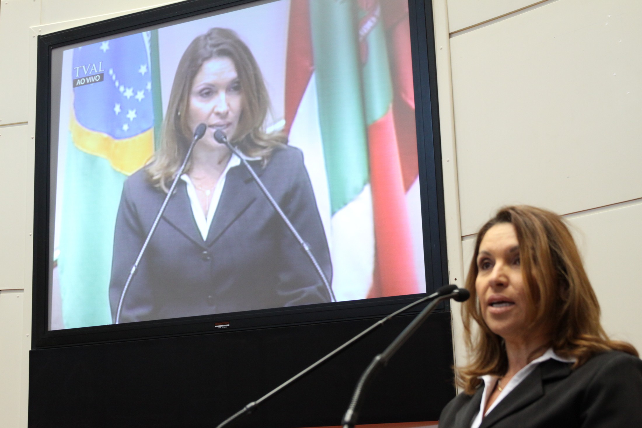 Sessão especial homenageia Lício Mauro da Silveira