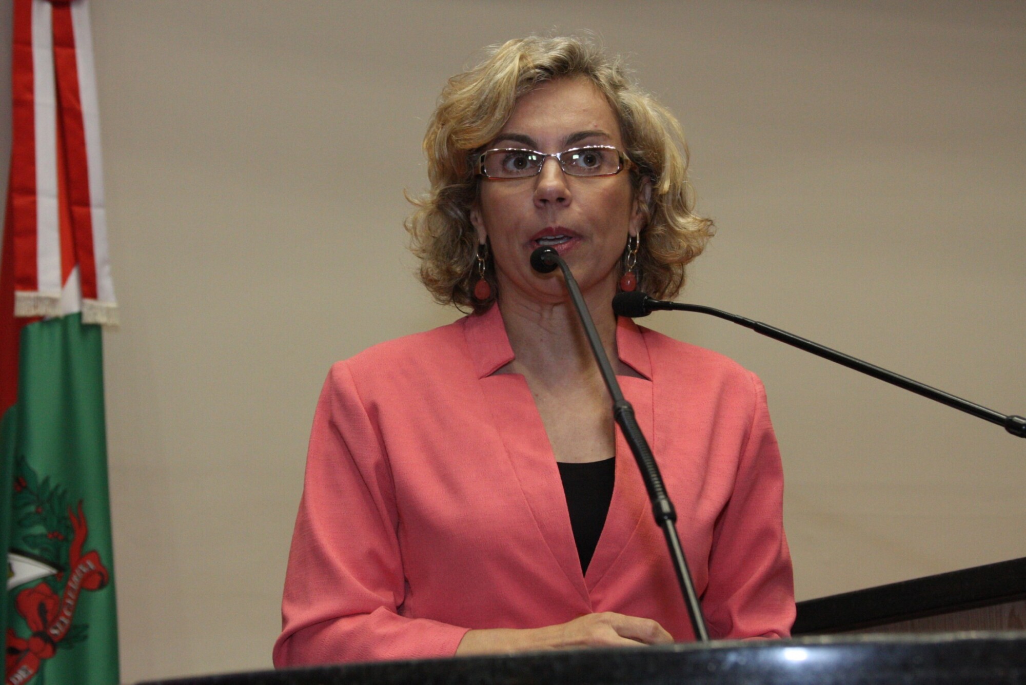 Dos Gabinetes – Ana Paula classificou de “vergonhoso” SC ser o 3° lugar no índice de trabalho escrav