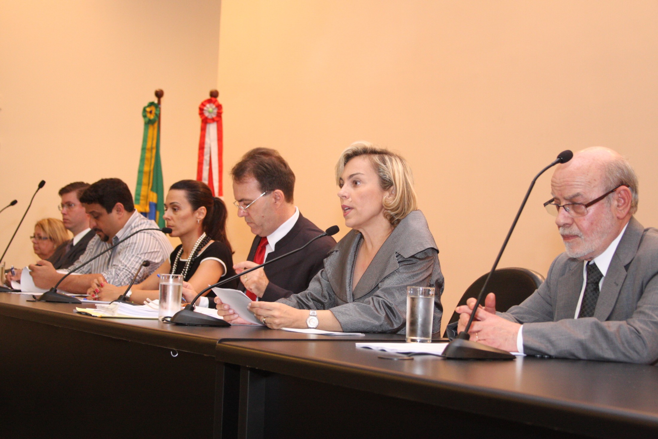 Audiência Pública referente à Execução das Medidas Socioeducativas no Estado de Santa Catarina