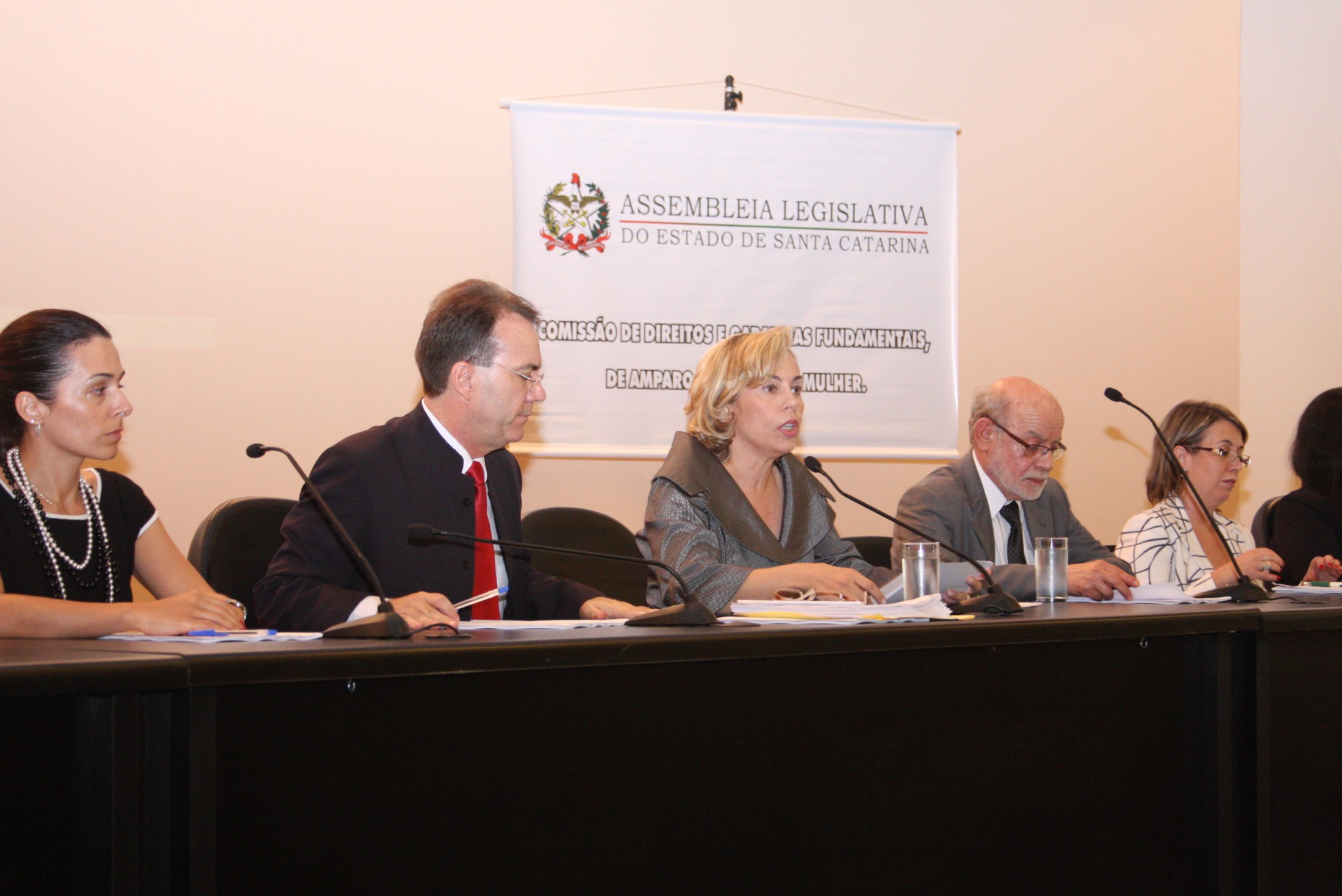 Audiência Pública referente à Execução das Medidas Socioeducativas no Estado de Santa Catarina