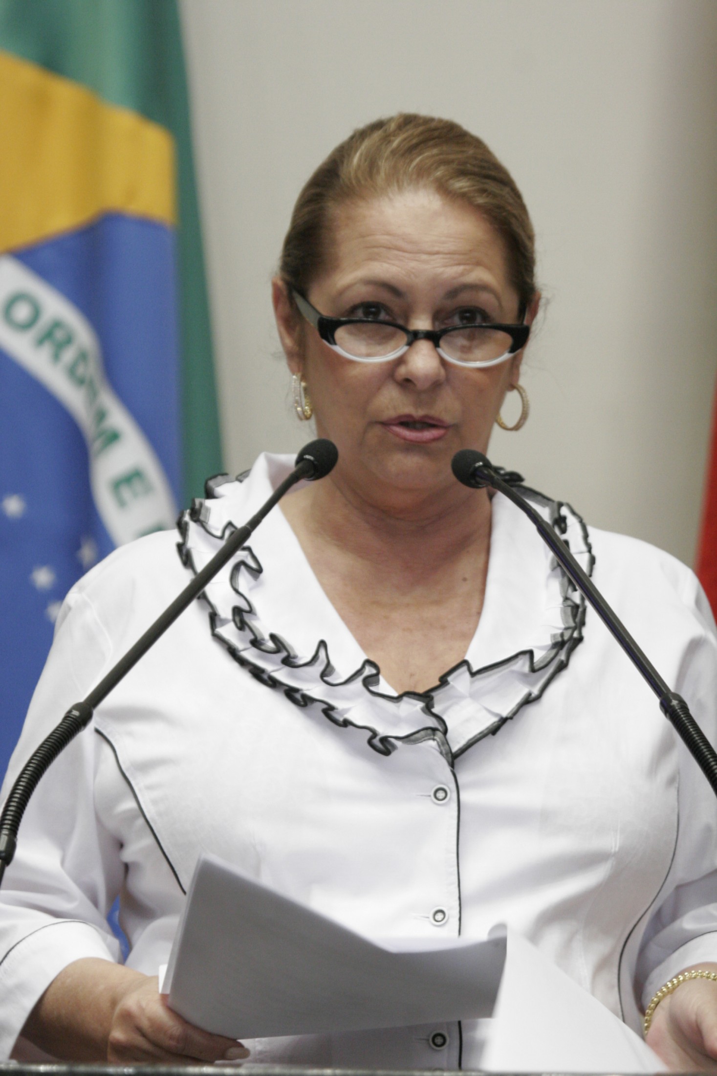 Deputada Ada de Luca (PMDB)