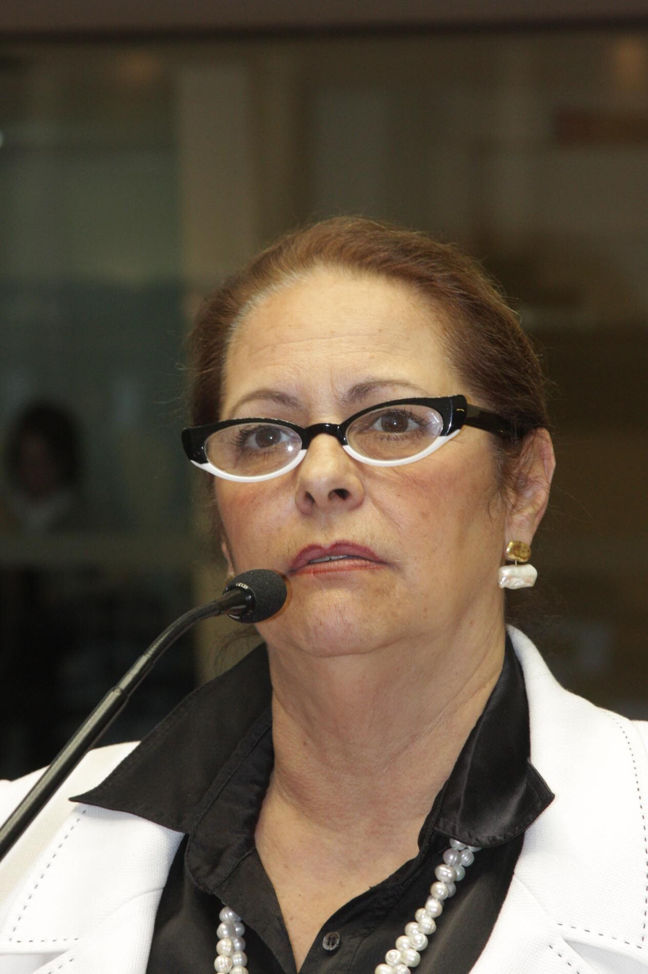 Dos Gabinetes – Deputada Ada valoriza reivindicações do sul