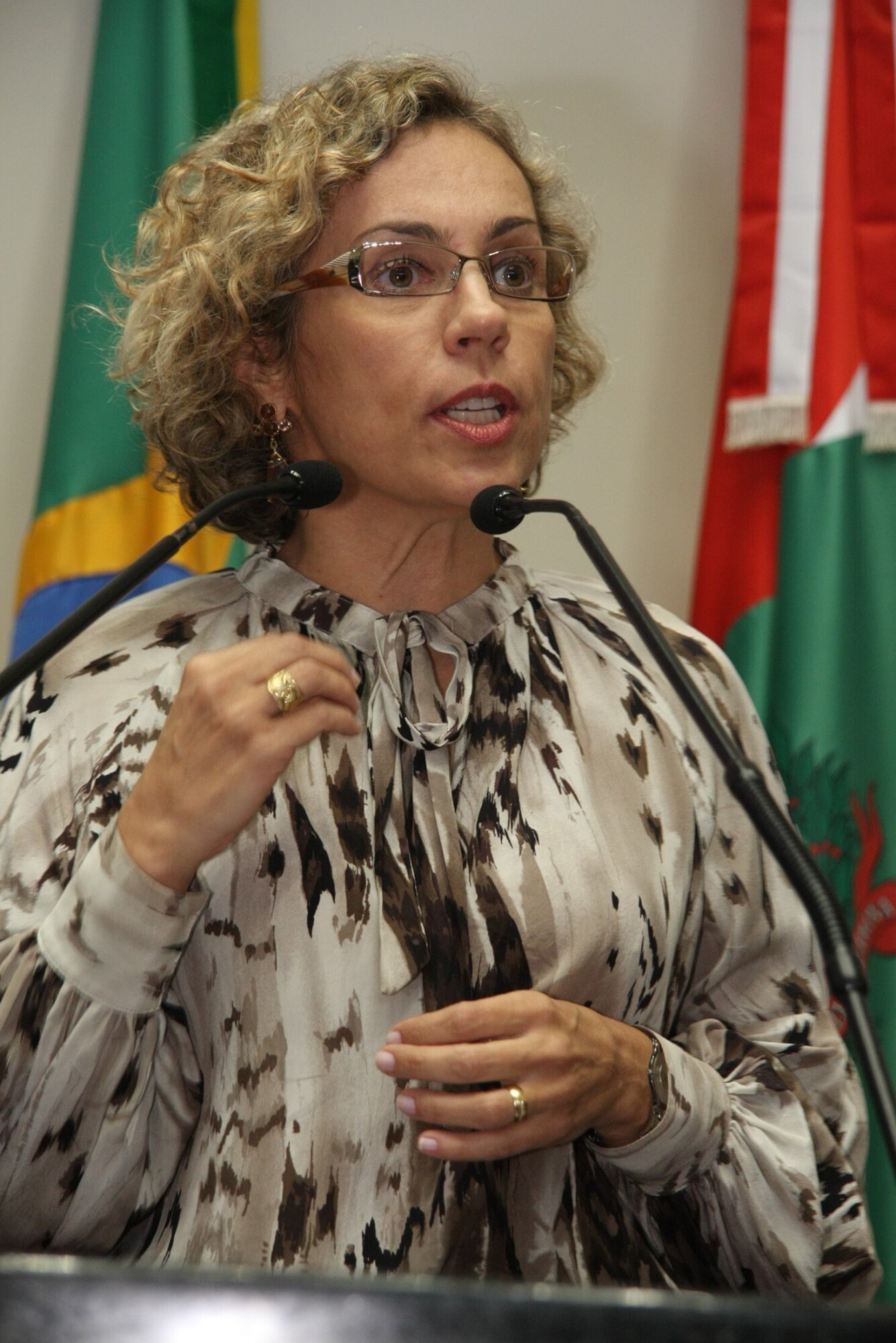 Dos Gabinetes – Deputada Ana Paula cobra agilidade do Governo de SC no combate à violência contra a