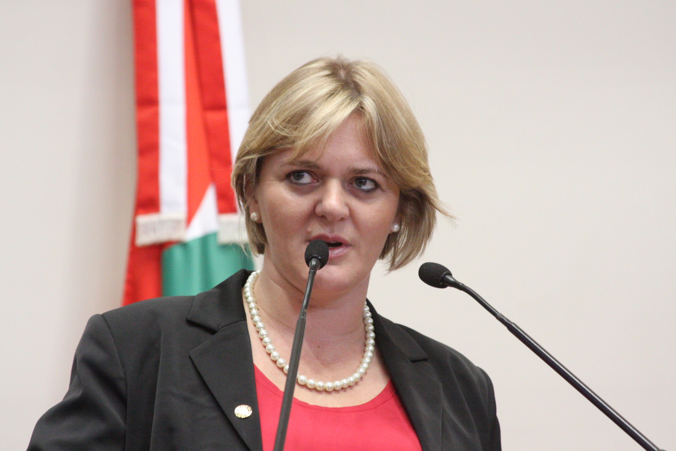 Deputada Luciane Carminatti (PT)