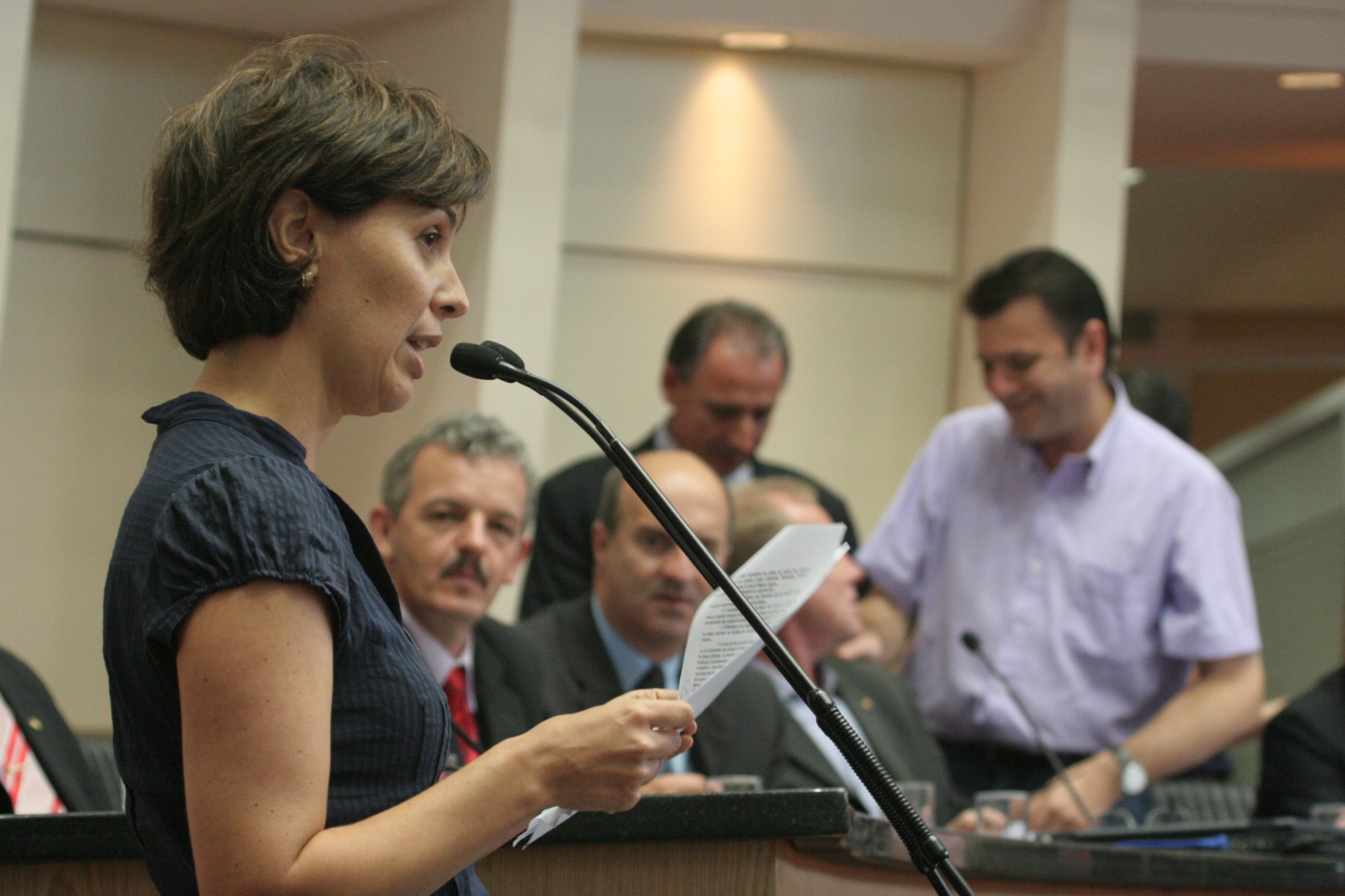 Audiência Publica Fumicultura - Ana Luiza Curi Hallal INCA