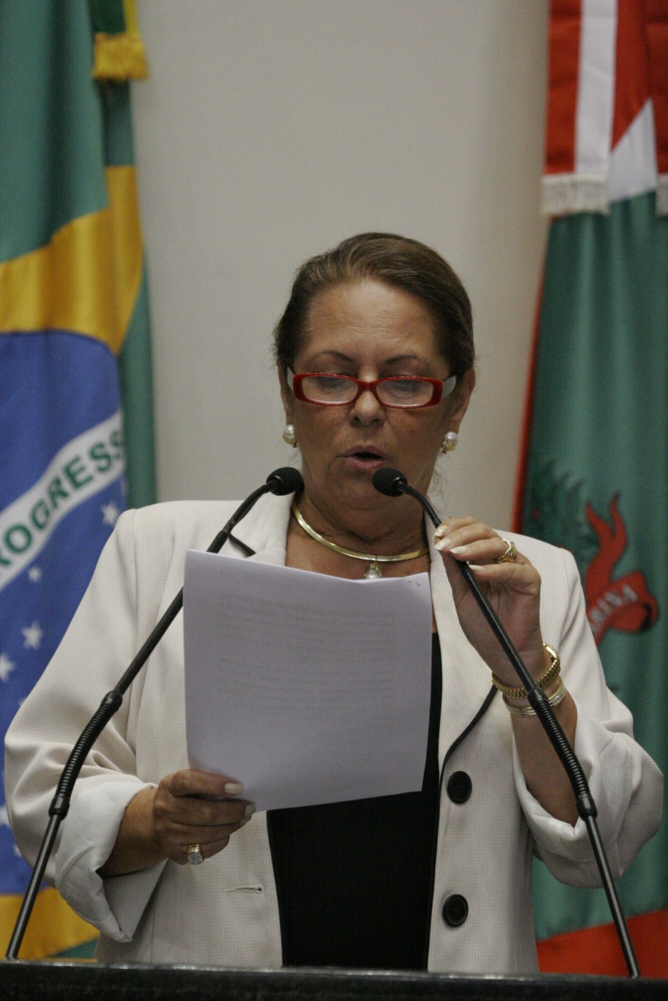Dos Gabinetes – Deputada Ada analisa o impacto mundial do terremoto no Japão