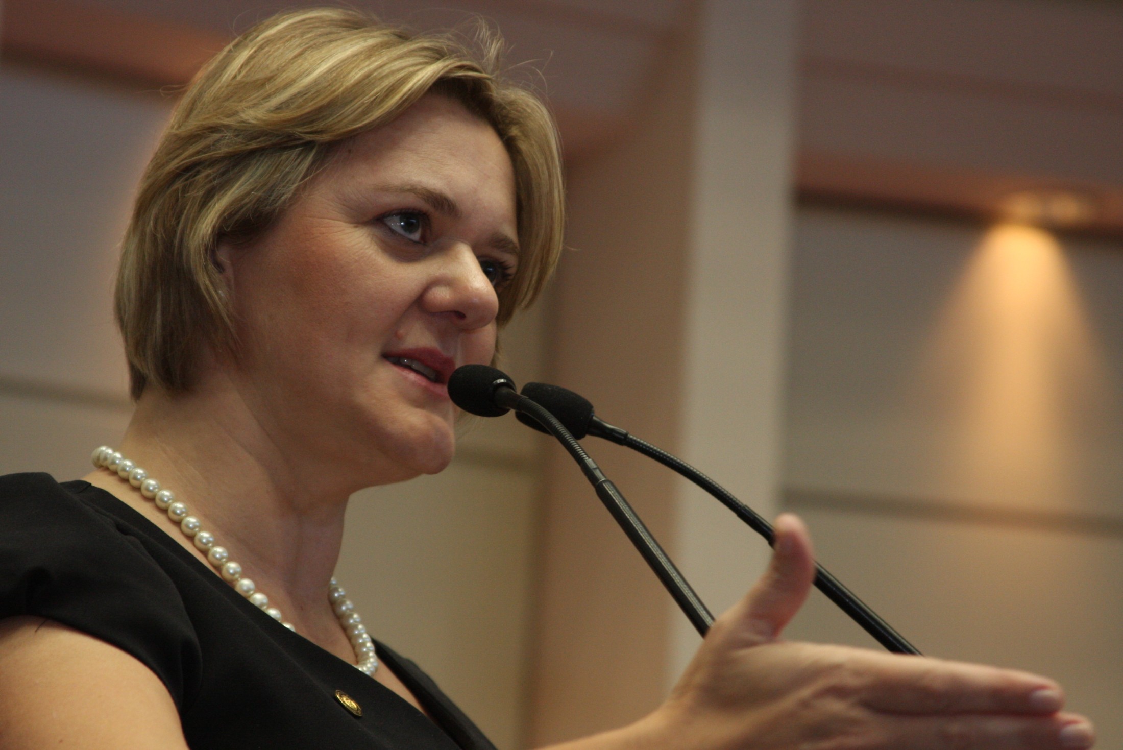Deputada Luciane Carminatti (PT) - Plenário Osni Régis - Sessão Ordinária