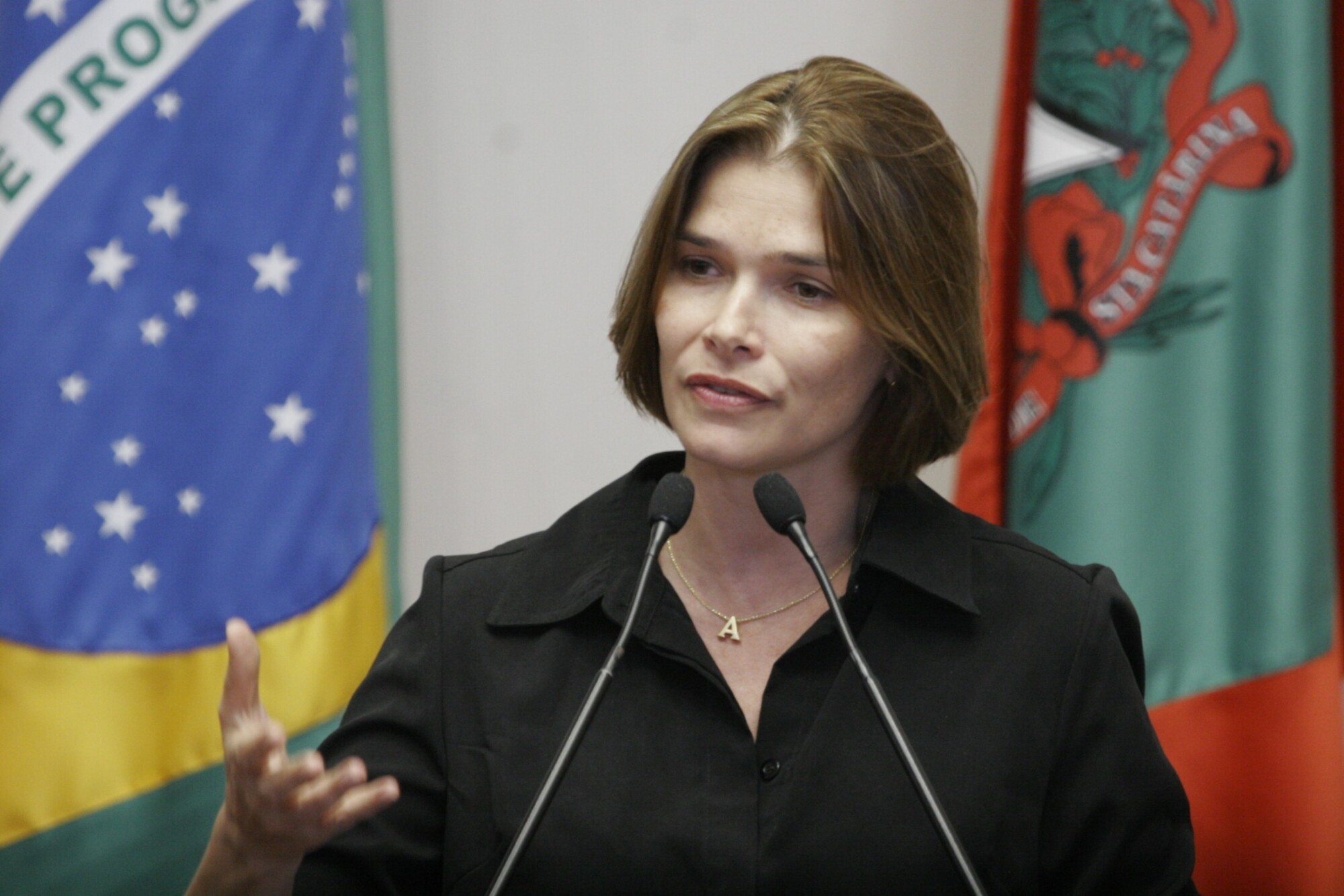 Dos Gabinetes- Marcada audiência pública da Arena Multiuso de Florianópolis