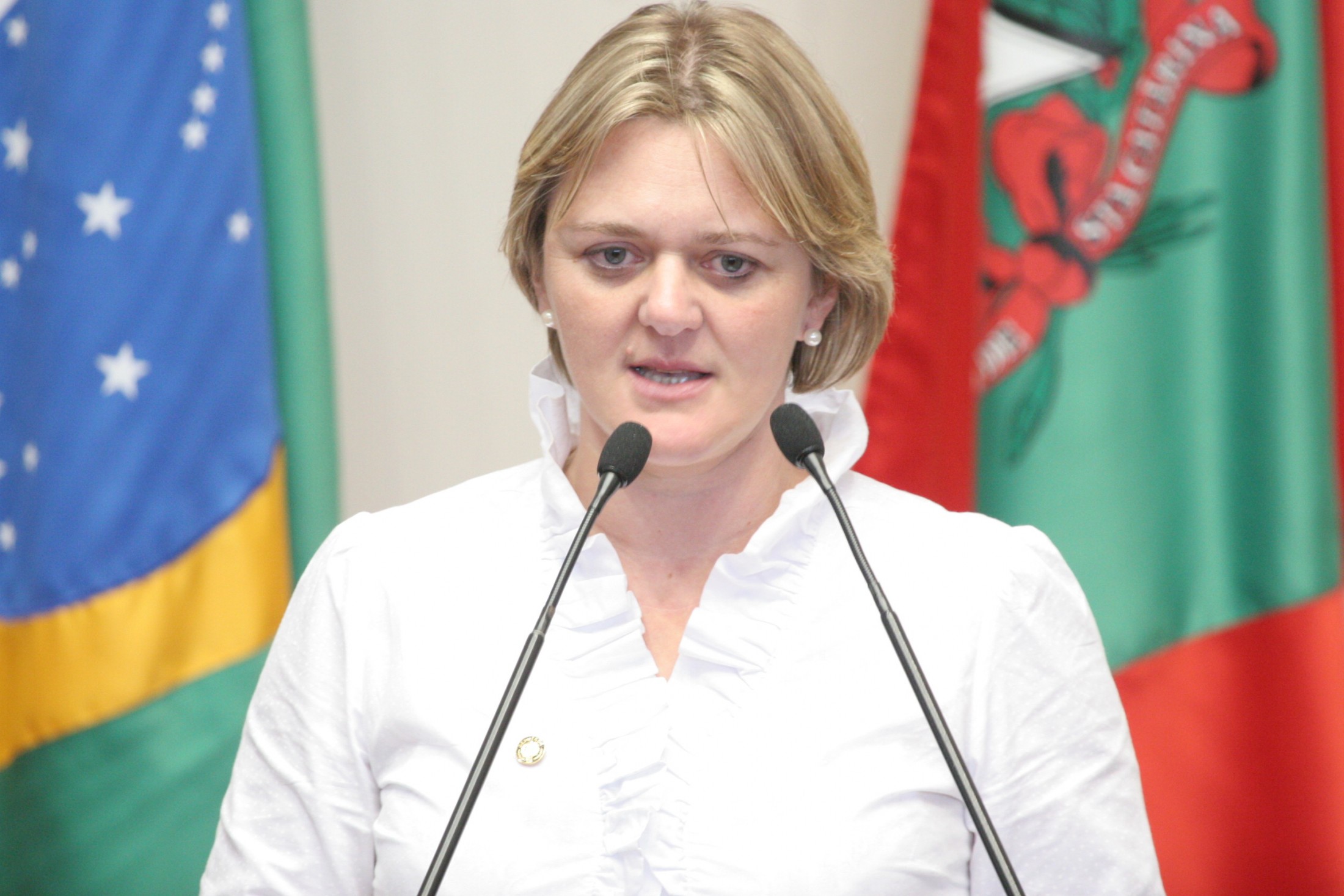 Comissão de Direitos e Garantias Fundamentais recebe Fórum das Entidades