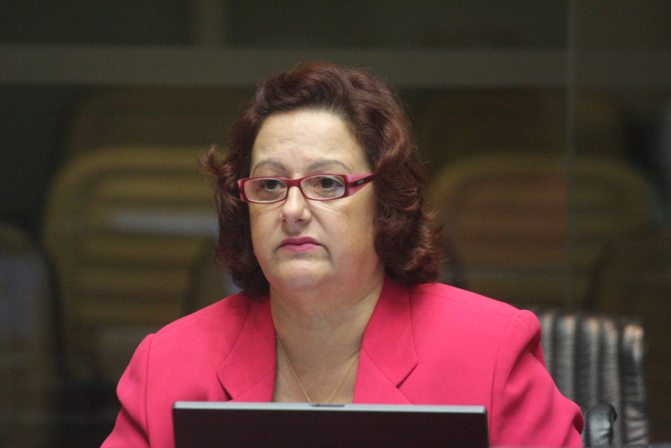Deputada Dirce Heiderscheidt (PMDB)