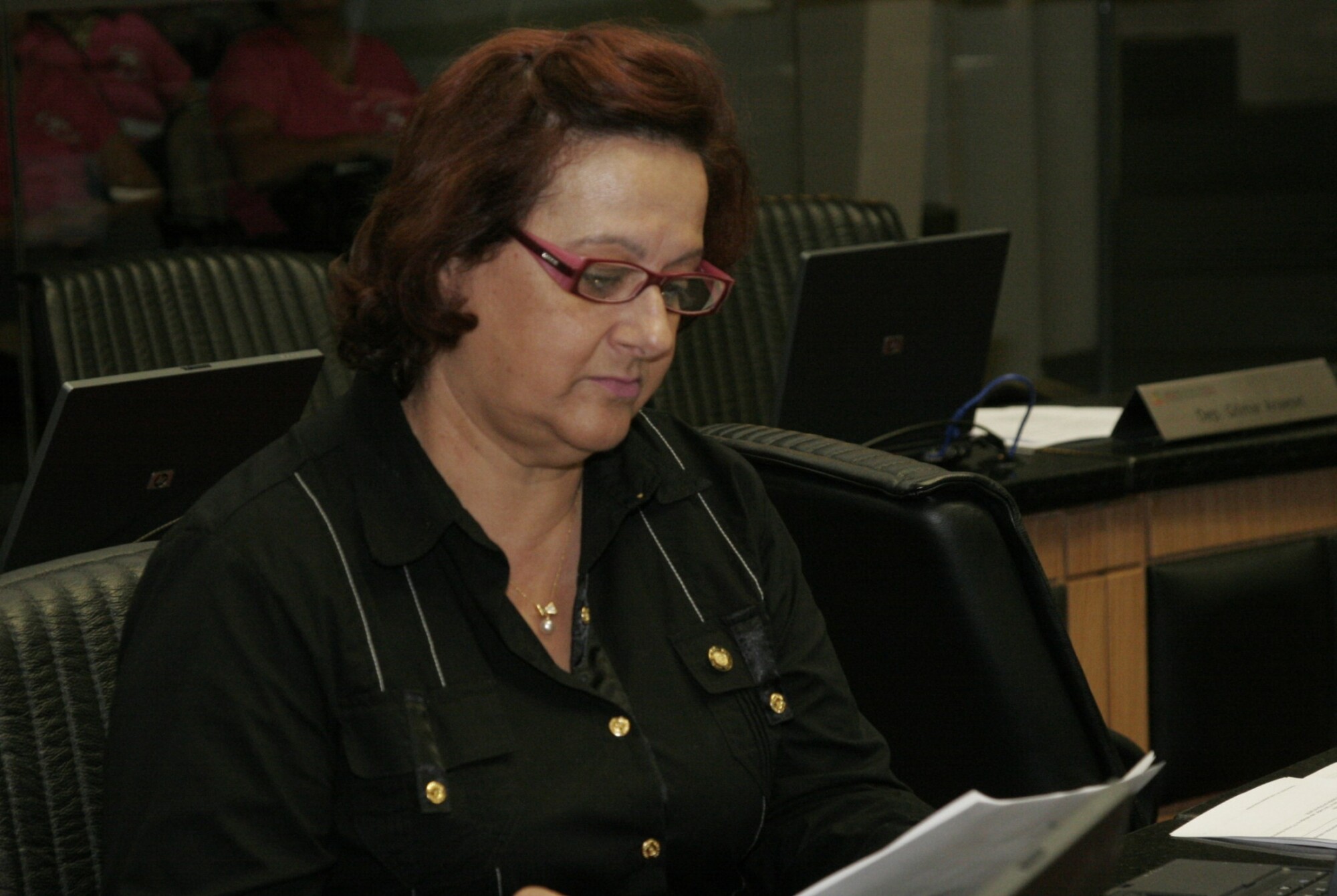 Dos Gabinetes- Dirce Heiderscheidt pleiteia instalação da Delegacia da Mulher, Criança, Adolescente
