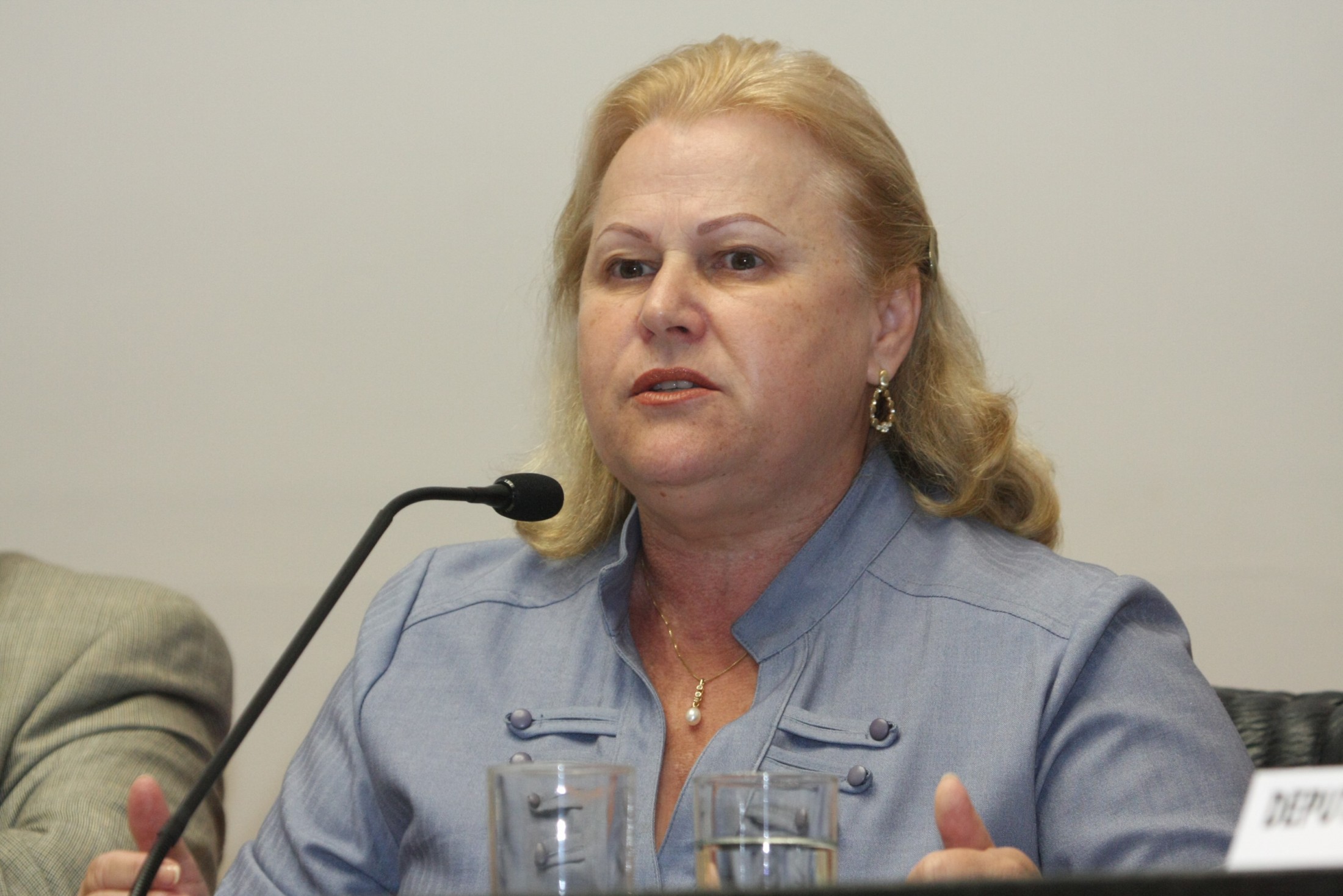 Promotora Sonia – Audiência pública