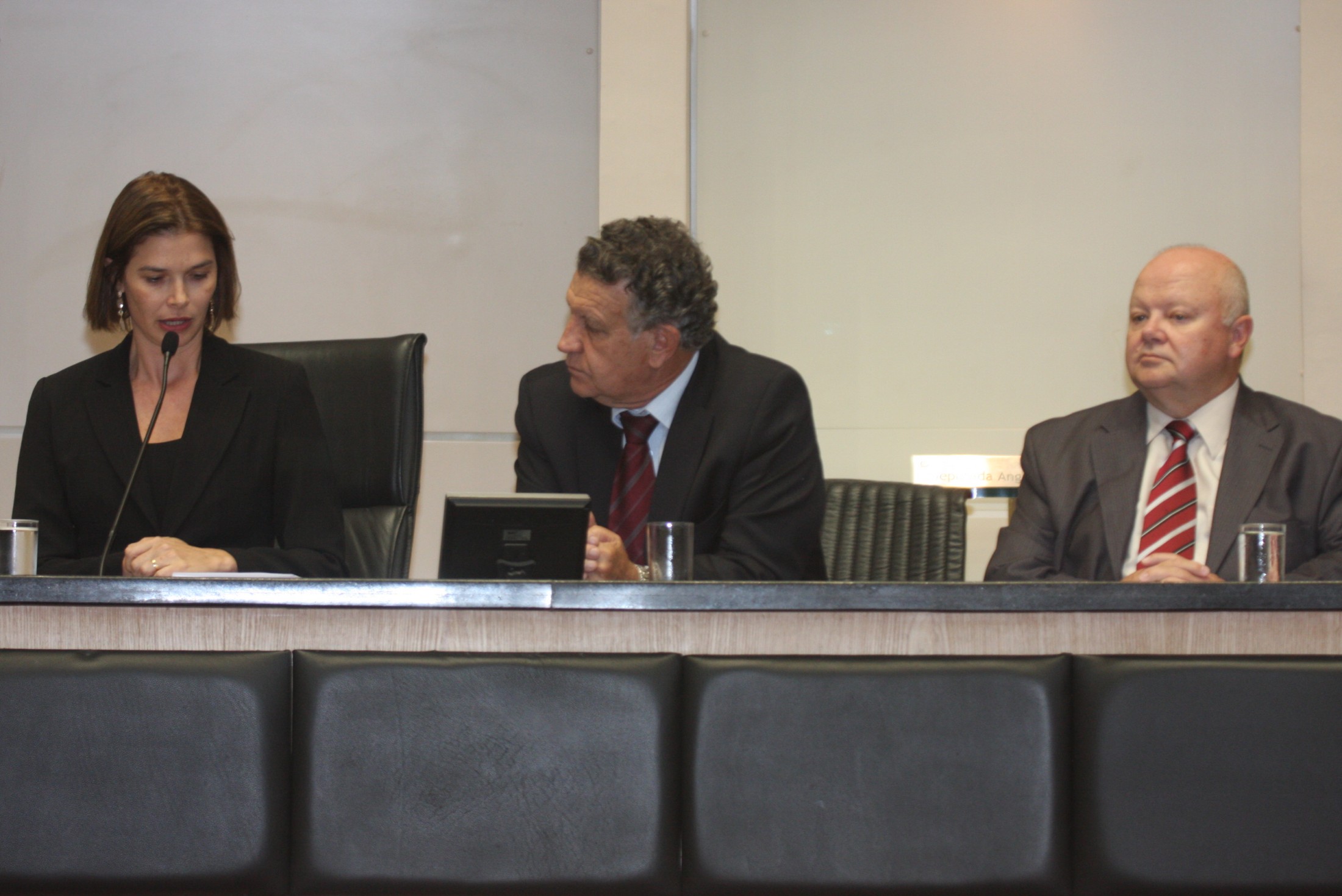 Audiência Pública - A fim de discutir sobre - O andamento da construção da Arena Multiuso de Florianópolis -
