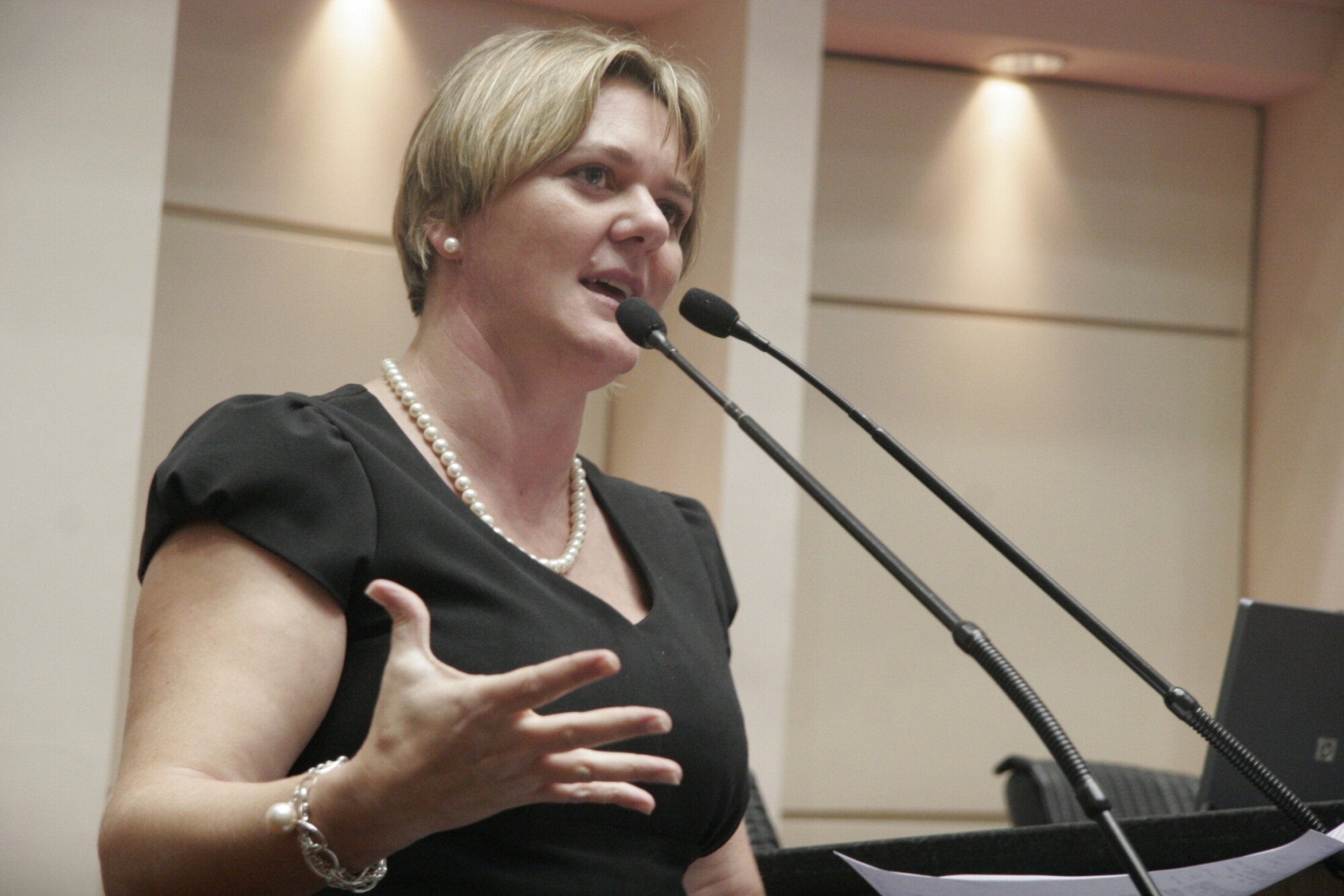 Dos Gabinetes- Luciane Carminatti vota contra o Projeto da Reforma Administrativa