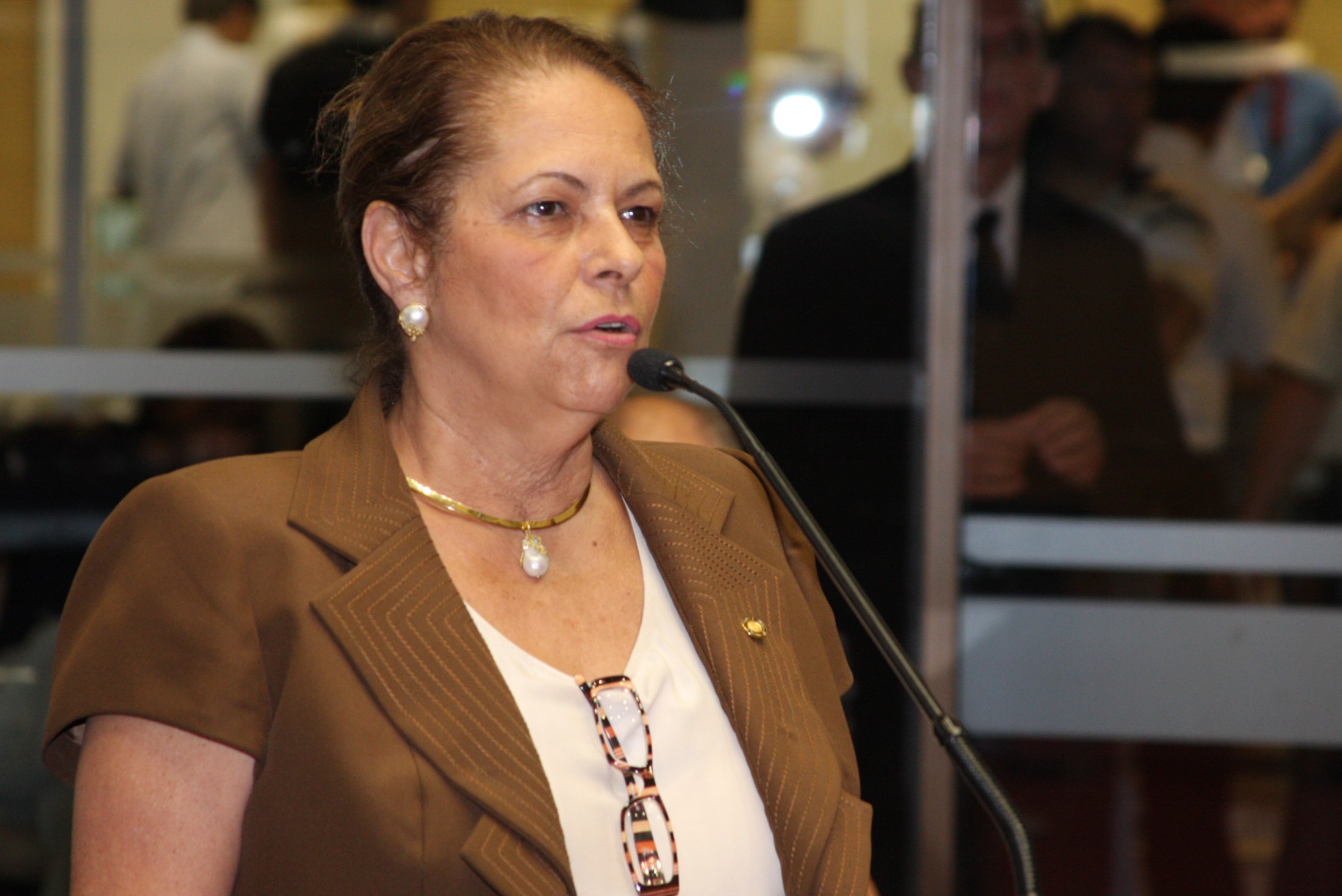 Deputada Ada Faraco De Luca (PMDB)
